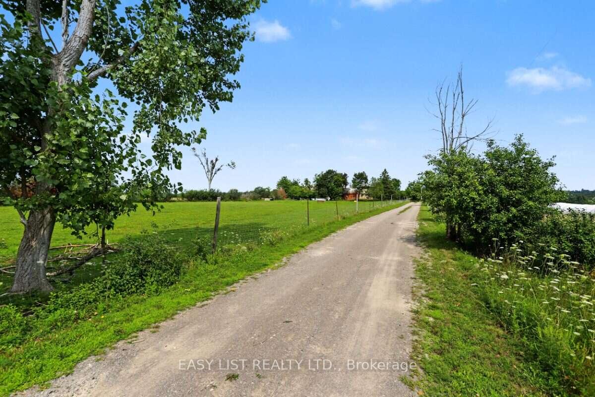 Photo 6 of 534 Cedar Glen Road, Kawartha Lakes, Verulam — HOMEH
