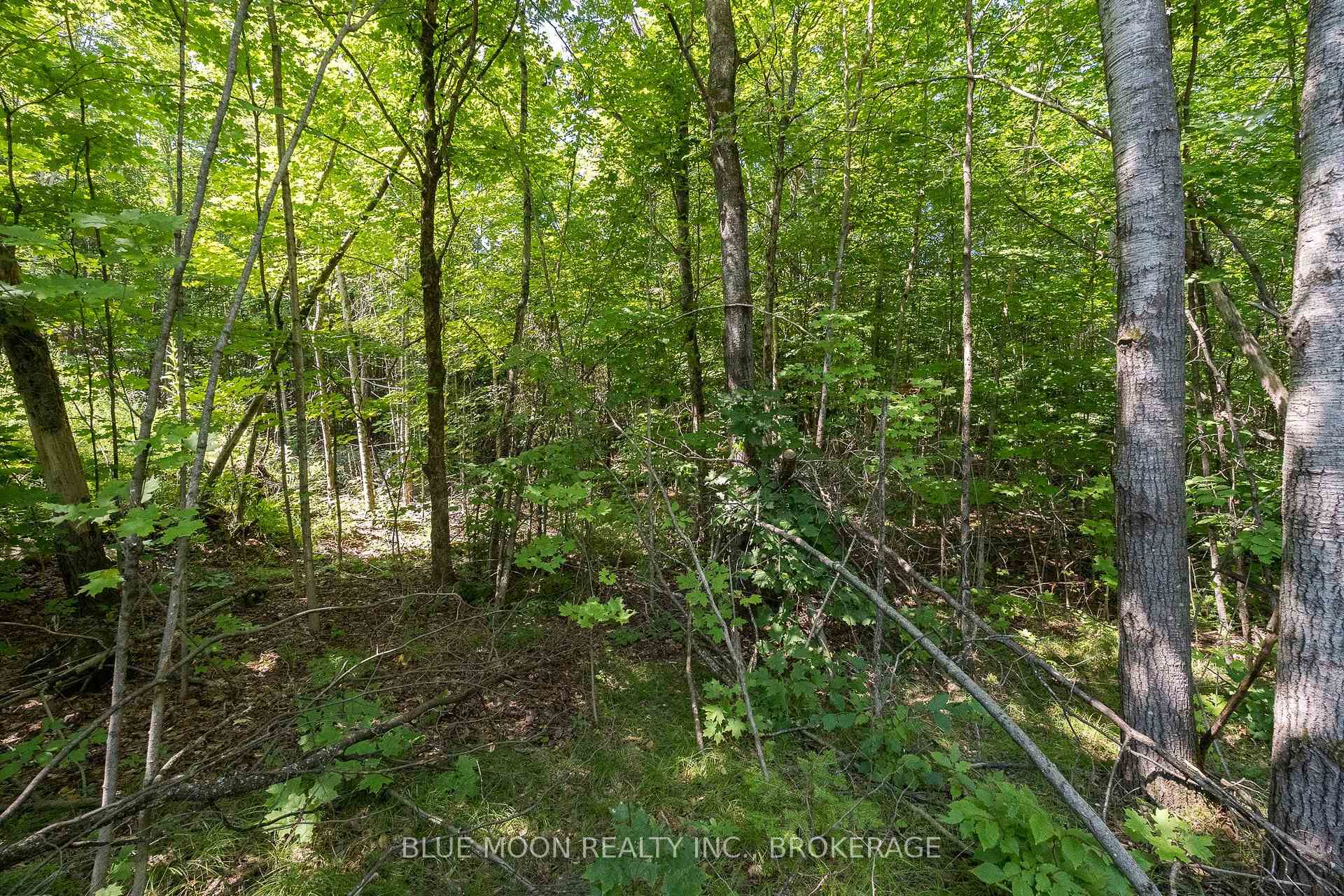 Photo 4 of 1531 Myers Cave Road, Frontenac, Frontenac North — HOMEH