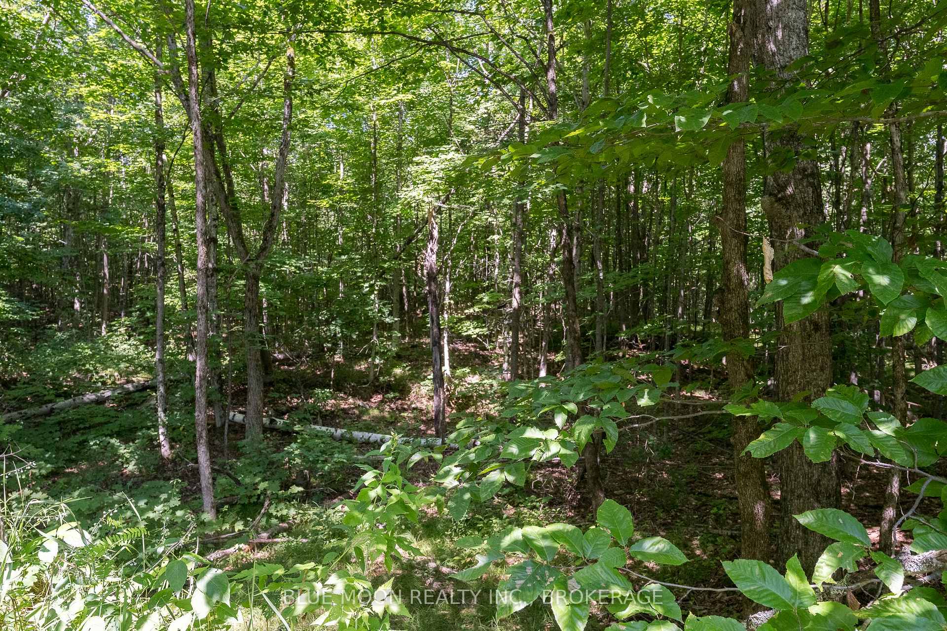 Photo 5 of 1531 Myers Cave Road, Frontenac, Frontenac North — HOMEH