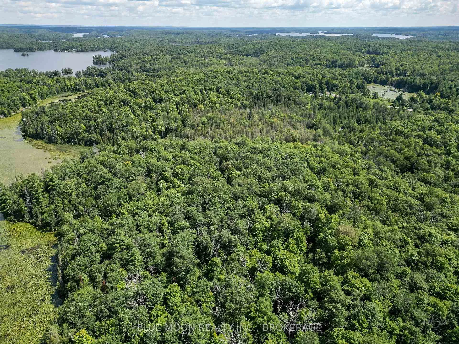 Photo 10 of 1531 Myers Cave Road, Frontenac, Frontenac North — HOMEH