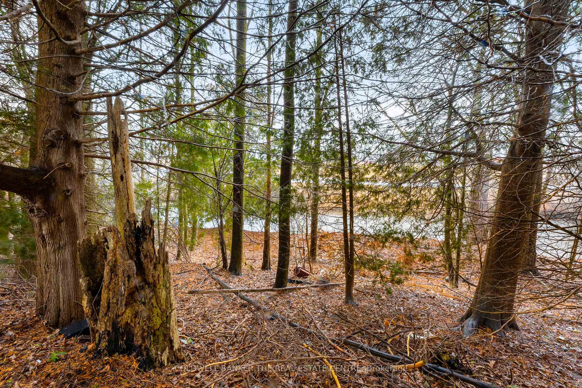 Photo 34 of Unit 409, 285 Crydermans Side Road, Georgina, Baldwin — HOMEH