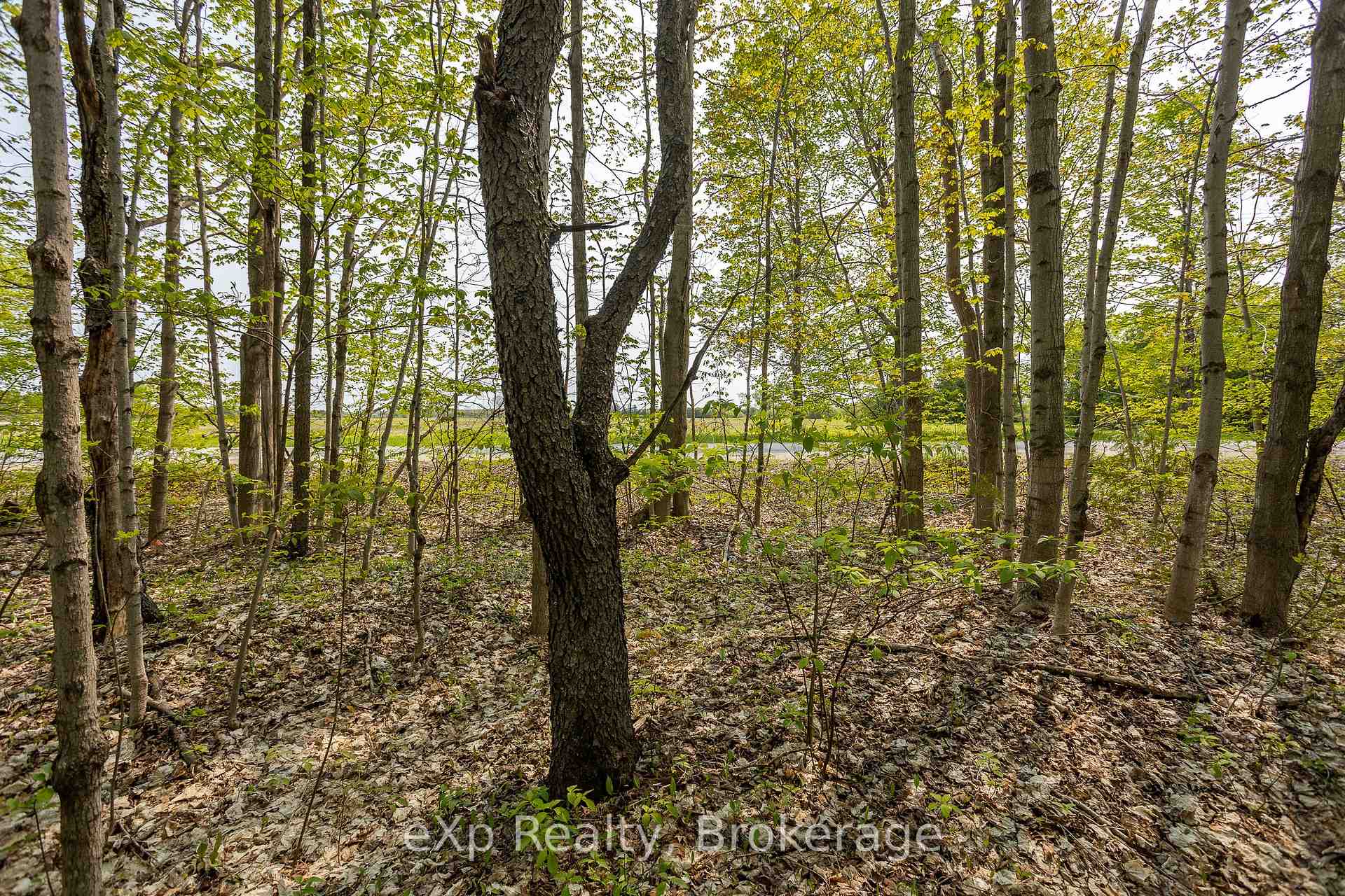 Photo 2 of PT LOT 20 Con 5, Chatsworth — HOMEH