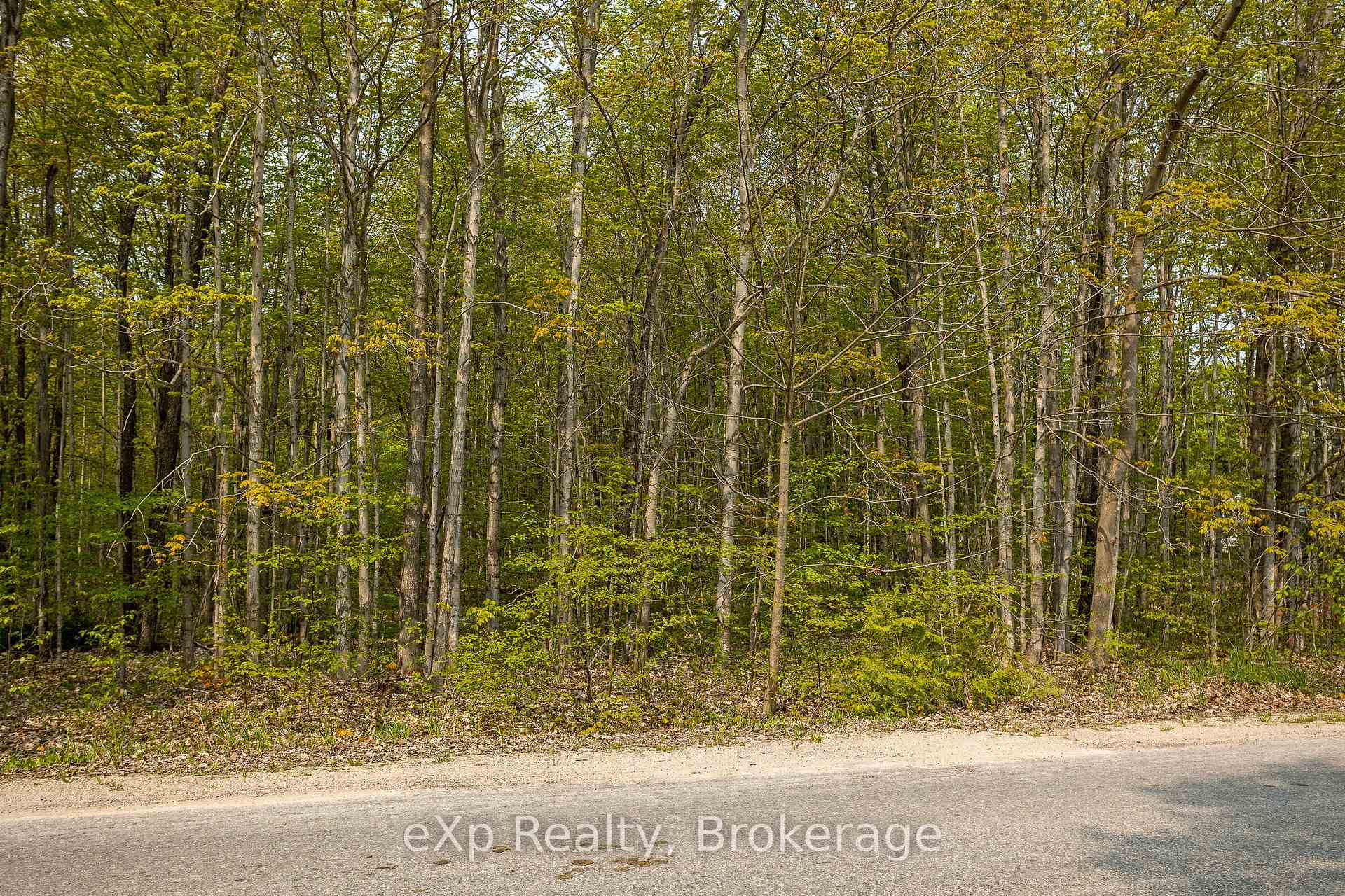 Photo 25 of PT LOT 20 Con 5, Chatsworth — HOMEH