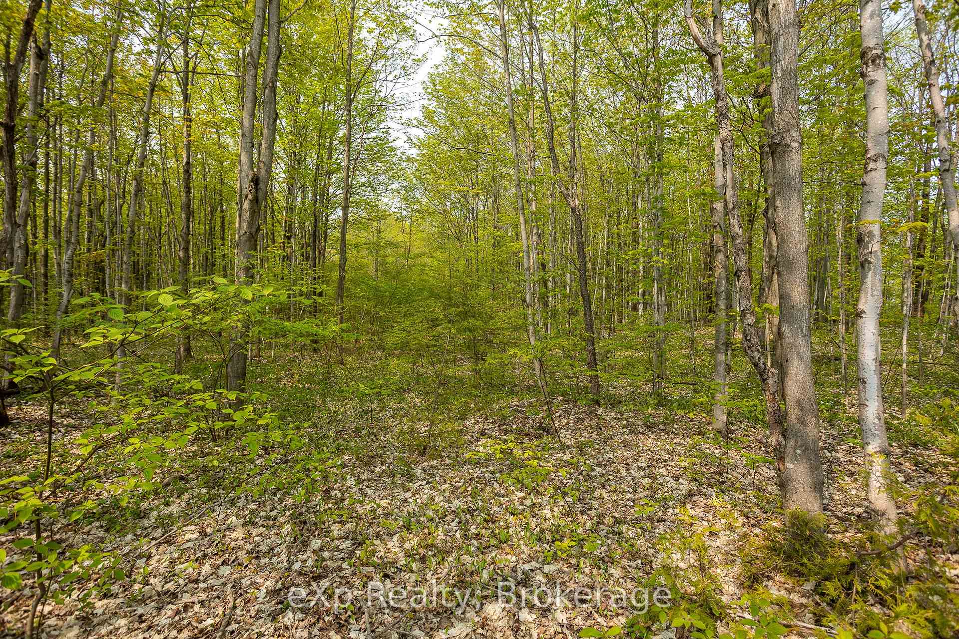 Photo 26 of PT LOT 20 Con 5, Chatsworth — HOMEH