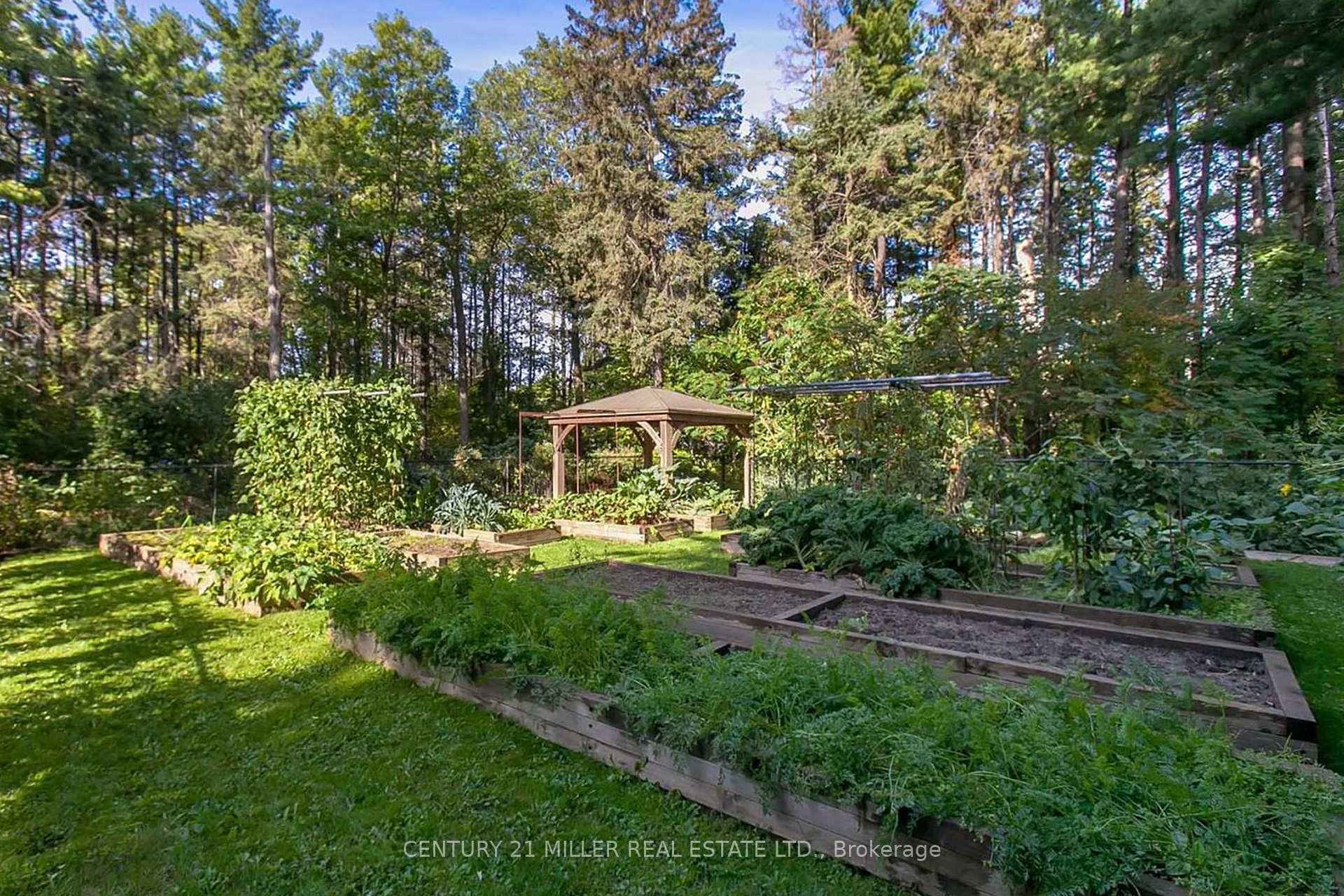 Photo 13 of 2602 No 2 Side Road, Burlington, Rural Burlington — HOMEH