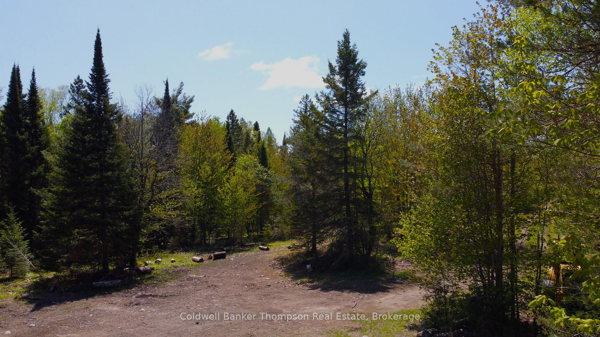 Photo 4 of 224 Madill Road, Armour — HOMEH