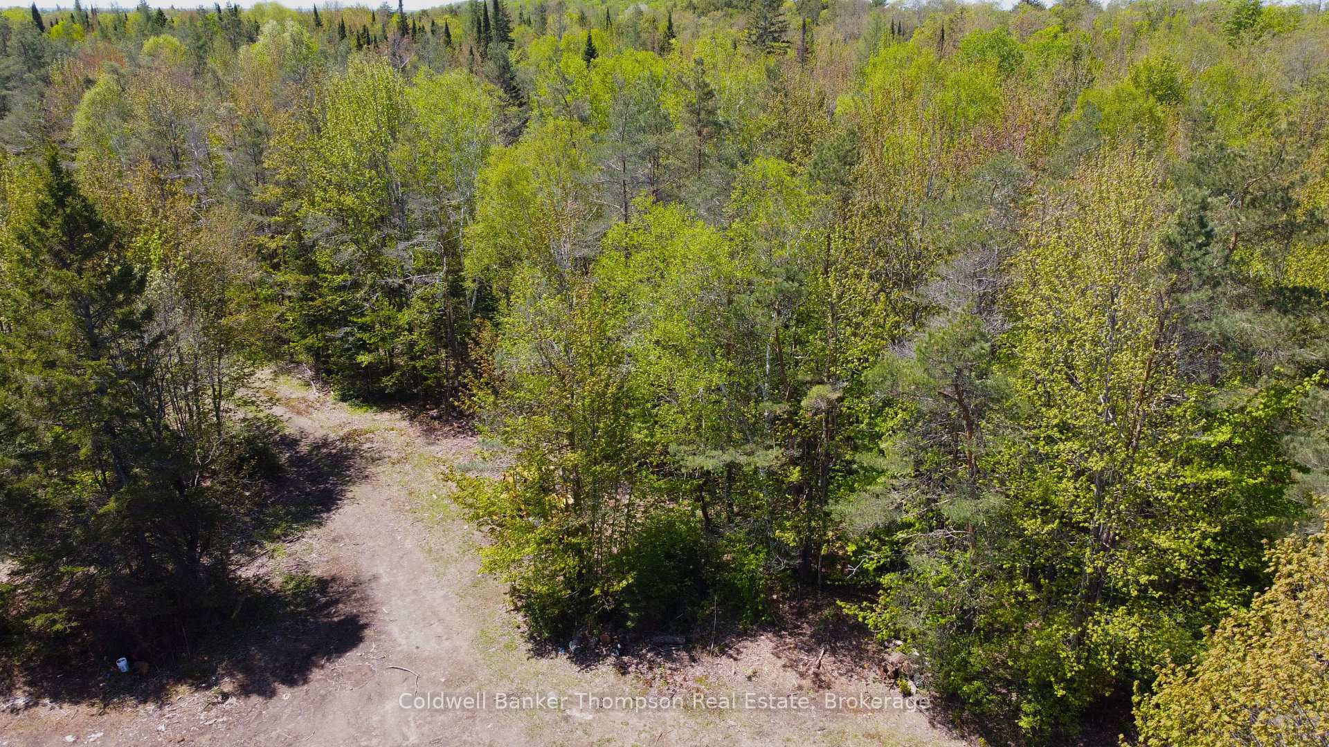 Photo 6 of 224 Madill Road, Armour — HOMEH