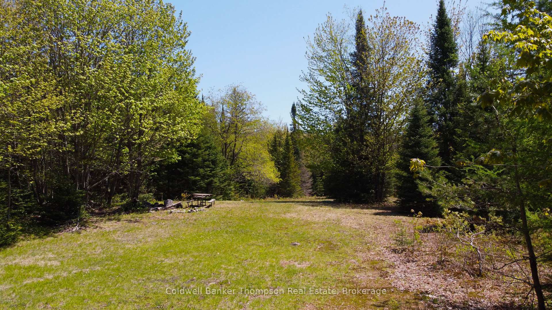 Photo 10 of 224 Madill Road, Armour — HOMEH