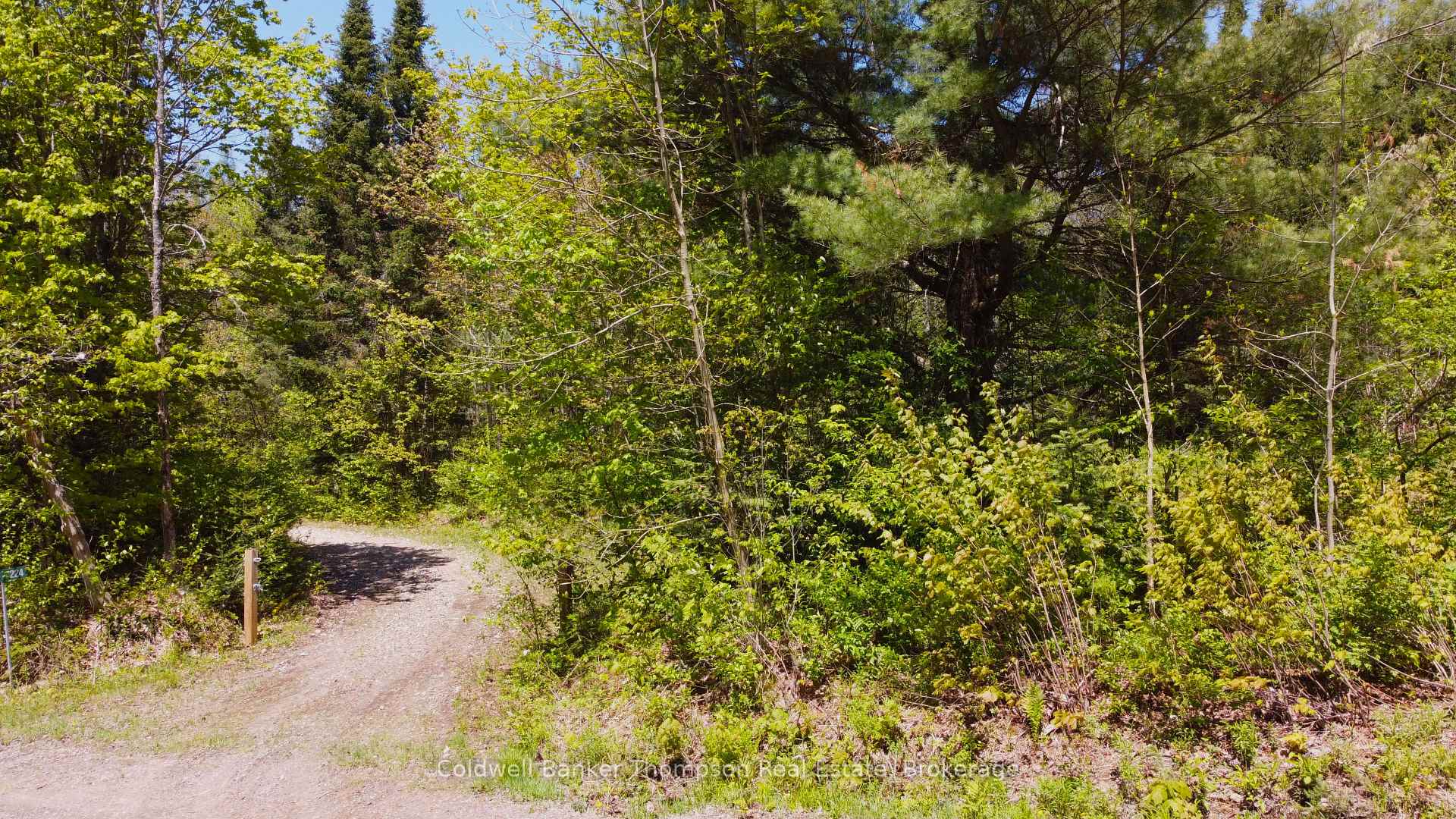 Photo 13 of 224 Madill Road, Armour — HOMEH