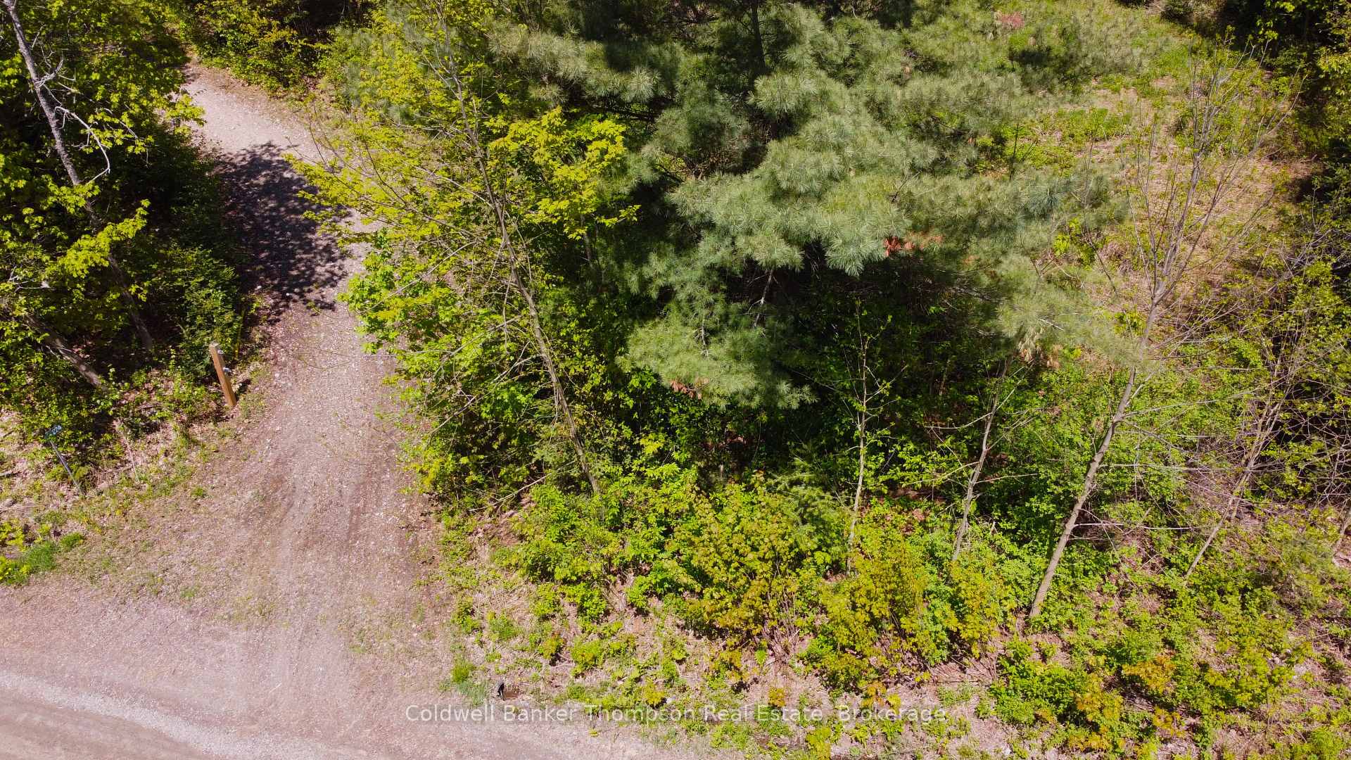 Photo 14 of 224 Madill Road, Armour — HOMEH