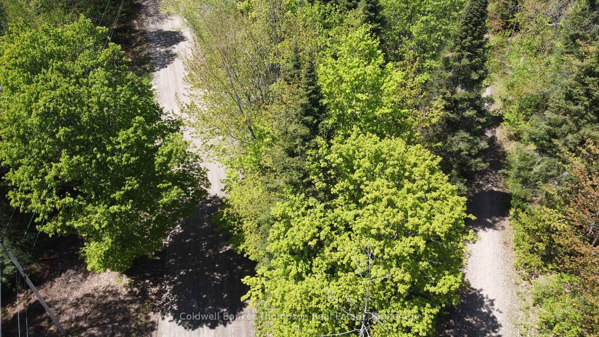 Photo 17 of 224 Madill Road, Armour — HOMEH
