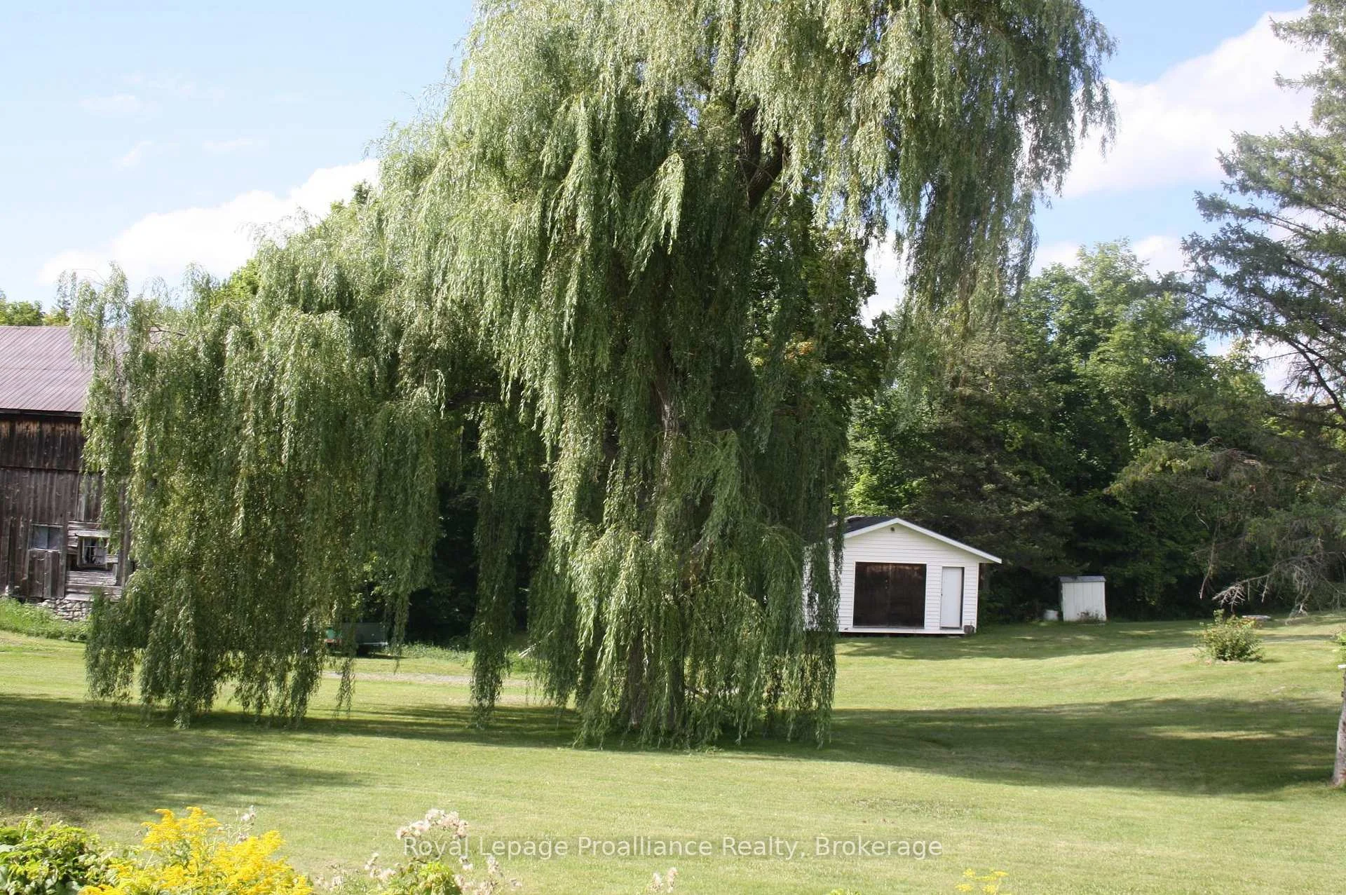 Photo 5 of 47 Shannon Road, Belleville, Thurlow Ward — HOMEH