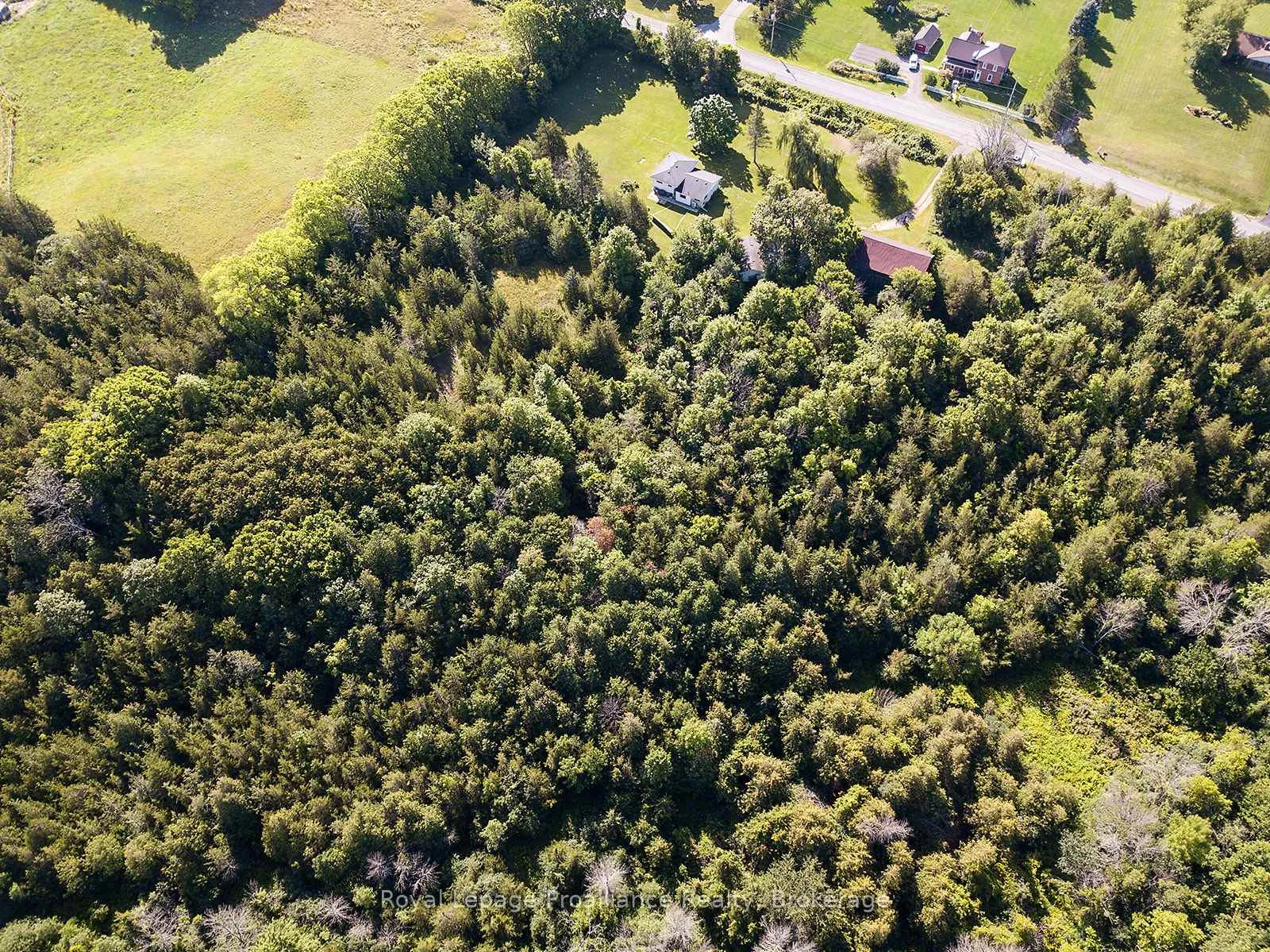Photo 22 of 47 Shannon Road, Belleville, Thurlow Ward — HOMEH