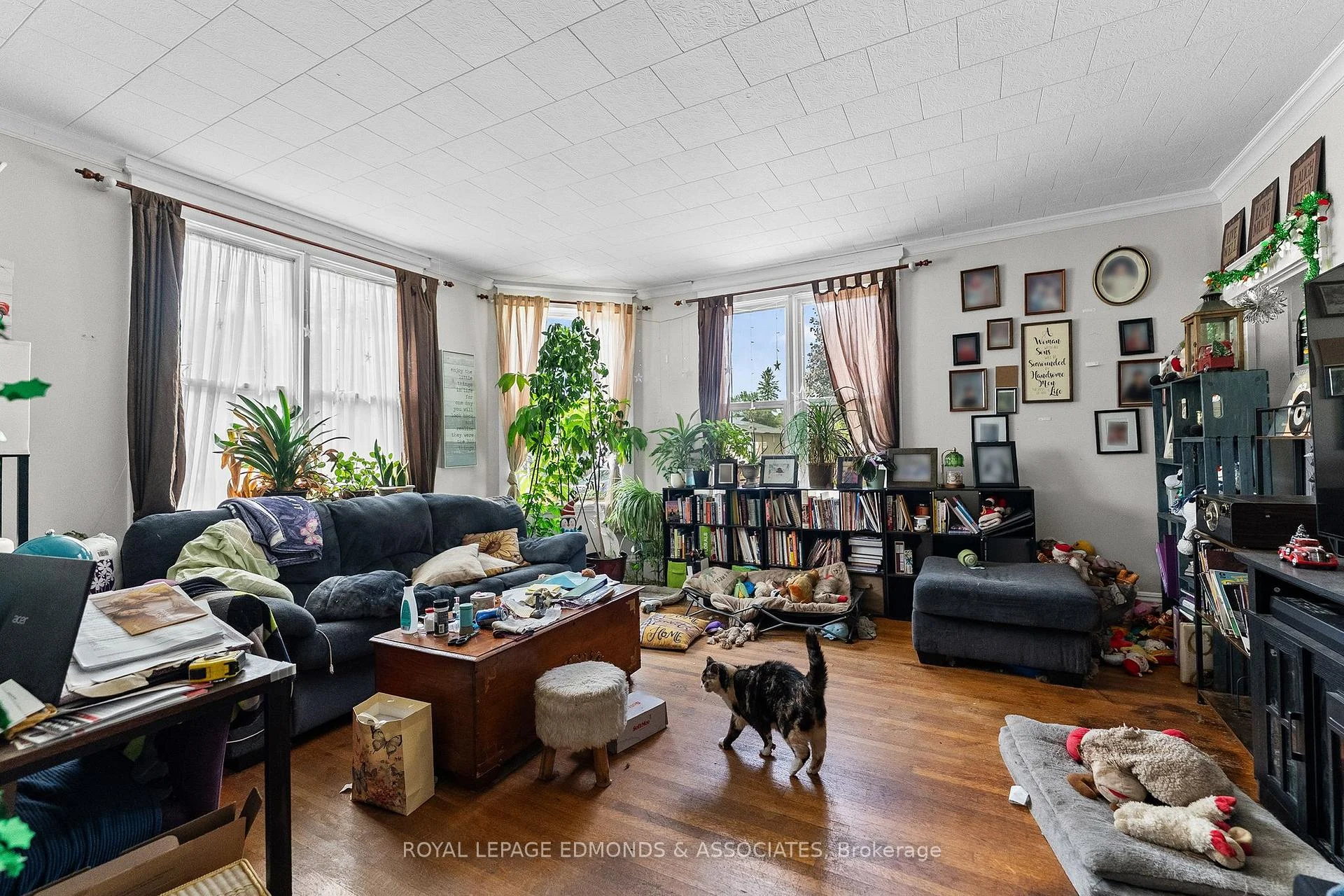 Photo 20 of 403 Mackay Street, Pembroke, Pembroke — HOMEH