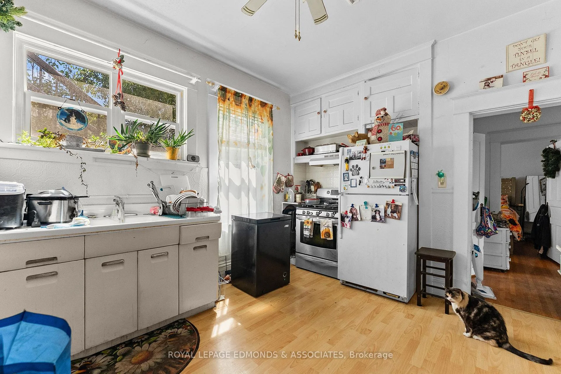Photo 23 of 403 Mackay Street, Pembroke, Pembroke — HOMEH