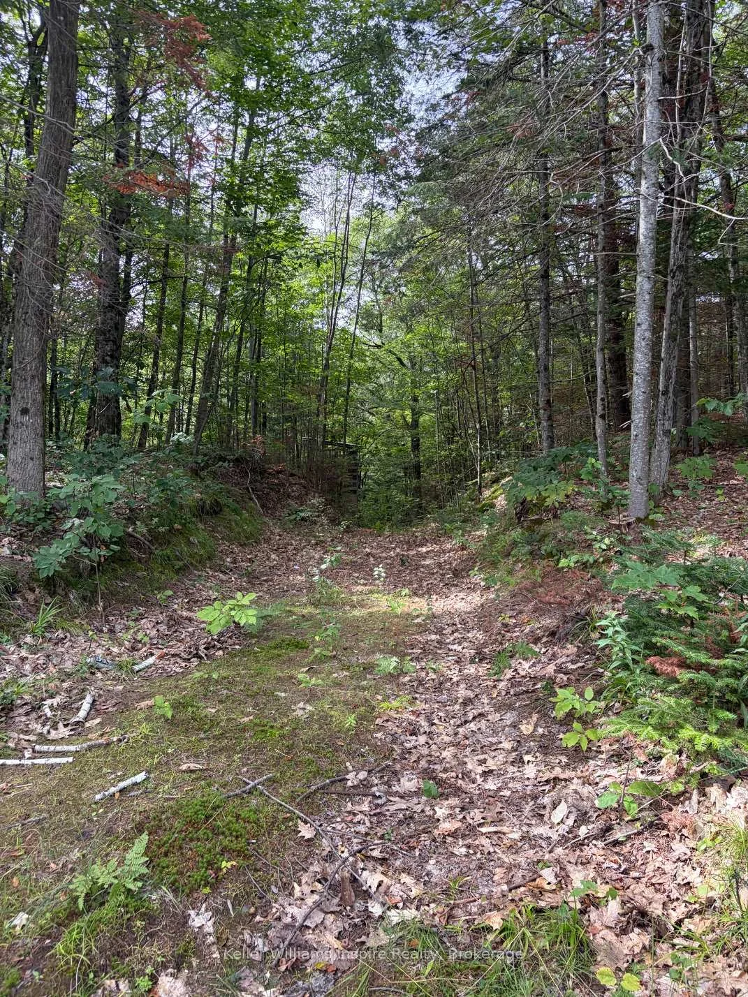 Photo 2 of 181 Chemaushgon Road, Bancroft, Bancroft Ward — HOMEH