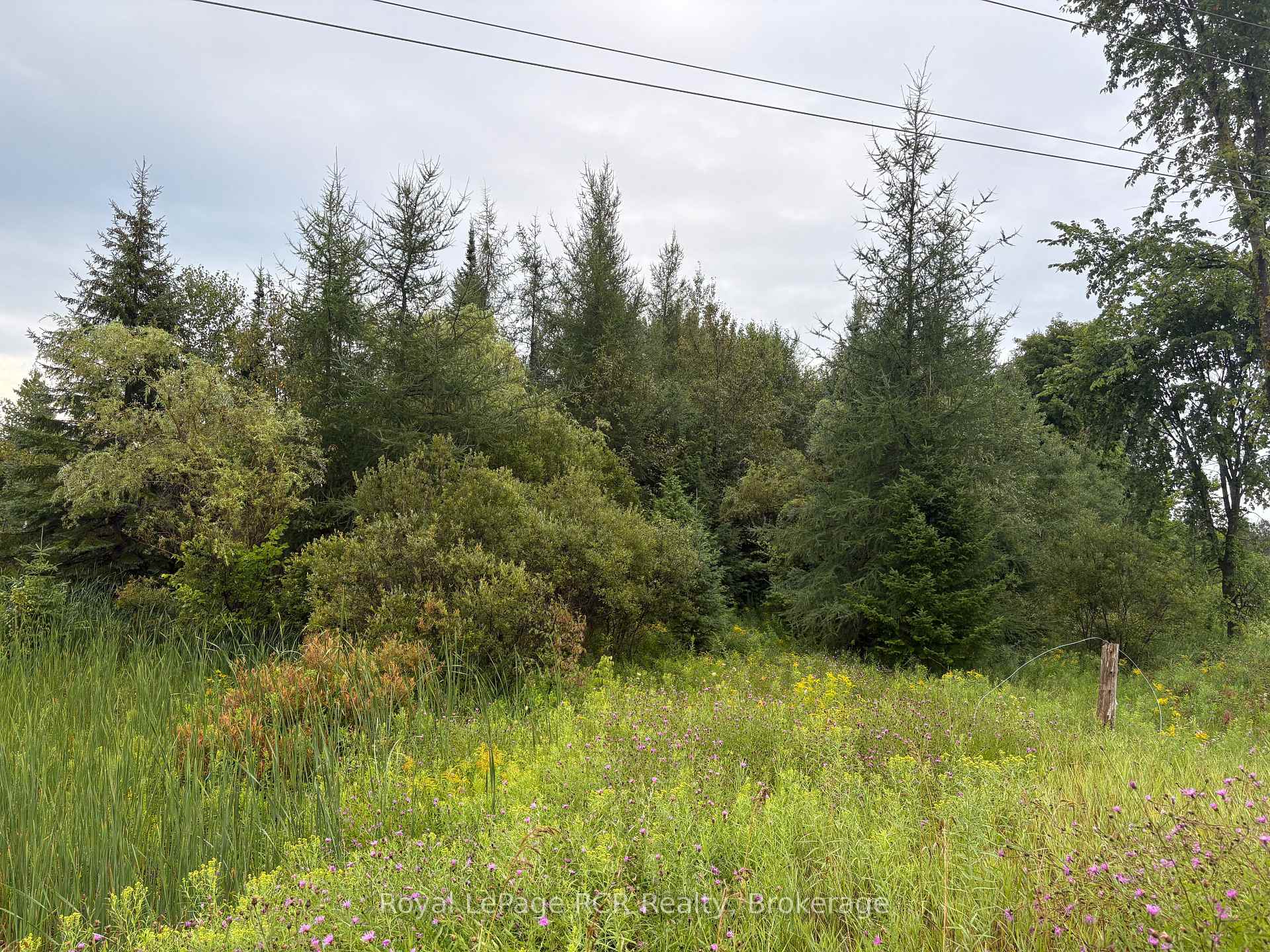 Photo 2 of PT LT 13 Grey Road 4, Grey Highlands — HOMEH