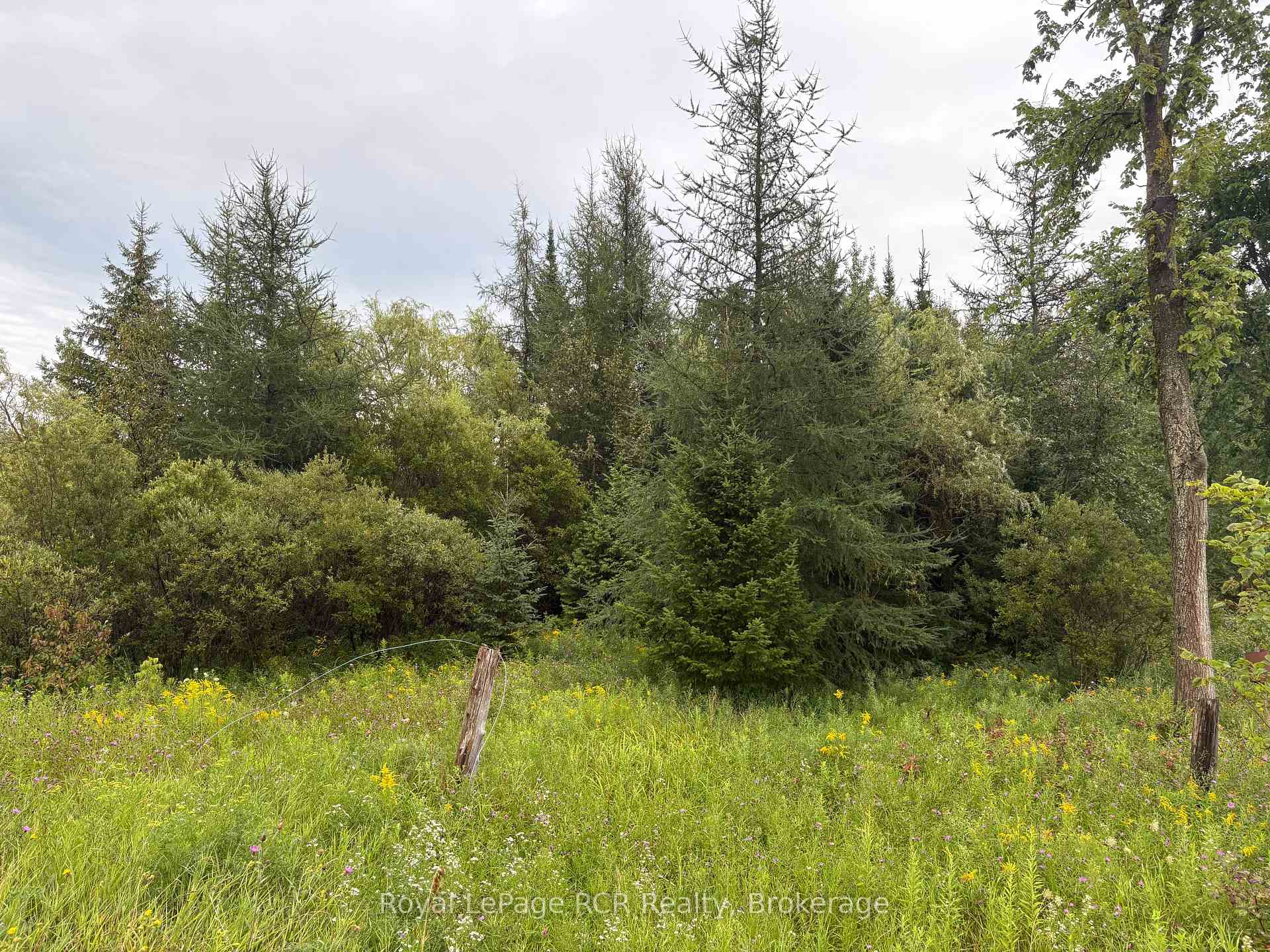 Photo 3 of PT LT 13 Grey Road 4, Grey Highlands — HOMEH