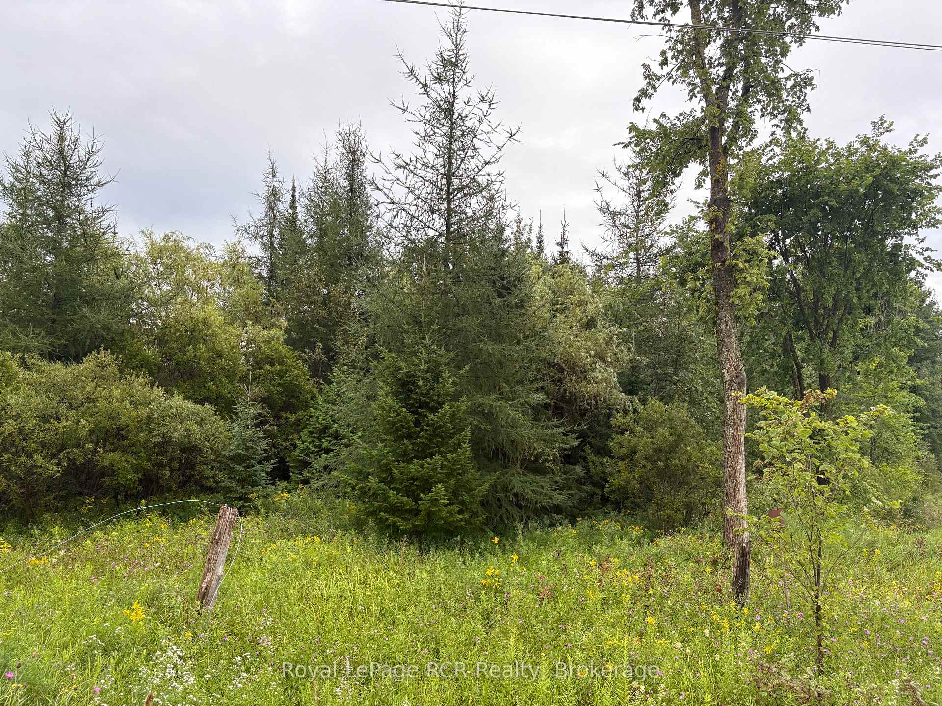 Photo 4 of PT LT 13 Grey Road 4, Grey Highlands — HOMEH