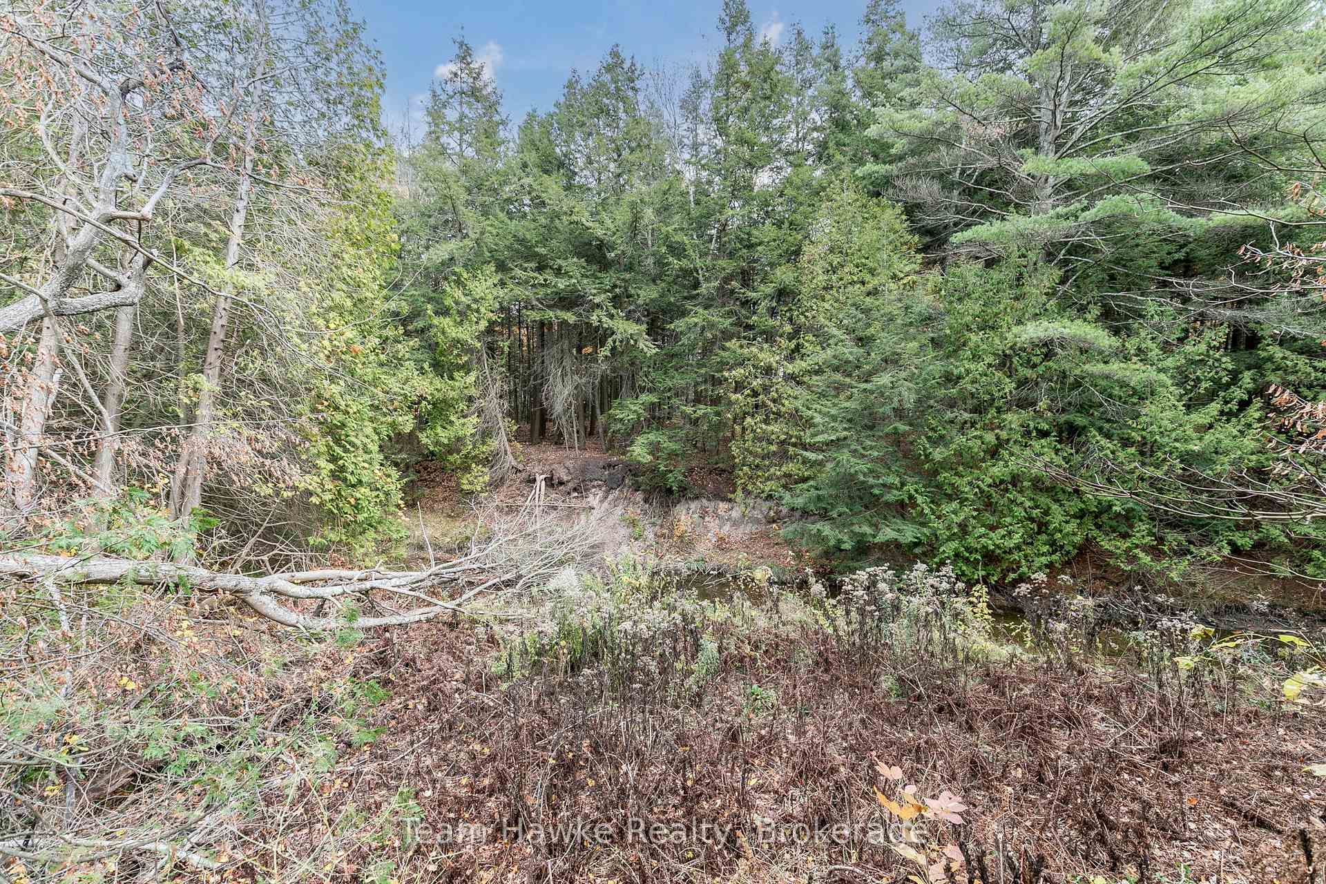 Photo 42 of 20 Scott Lane, Tiny, Rural Tiny — HOMEH