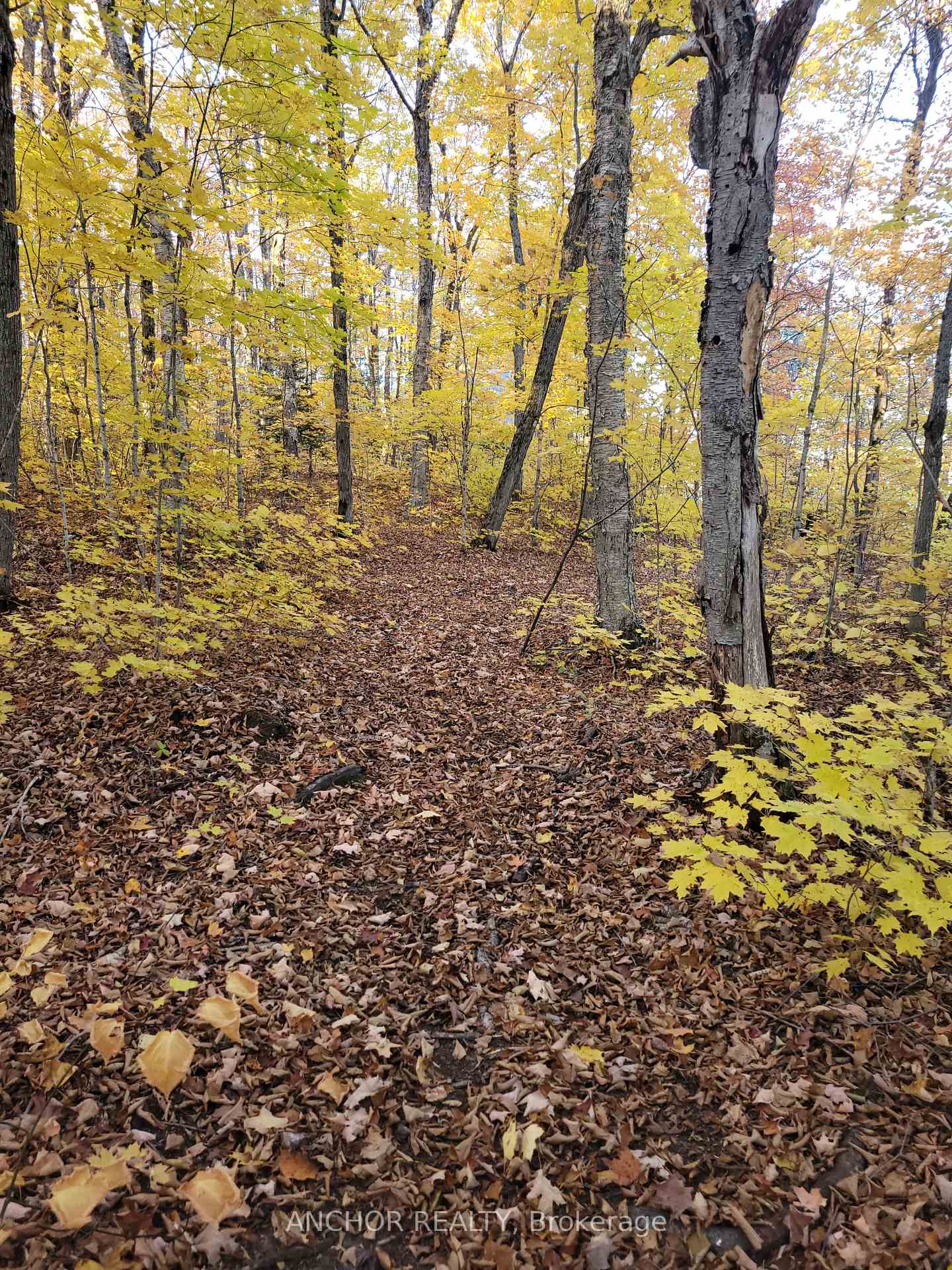 Photo 20 of 550 Shawanaga Lake, McDougall — HOMEH