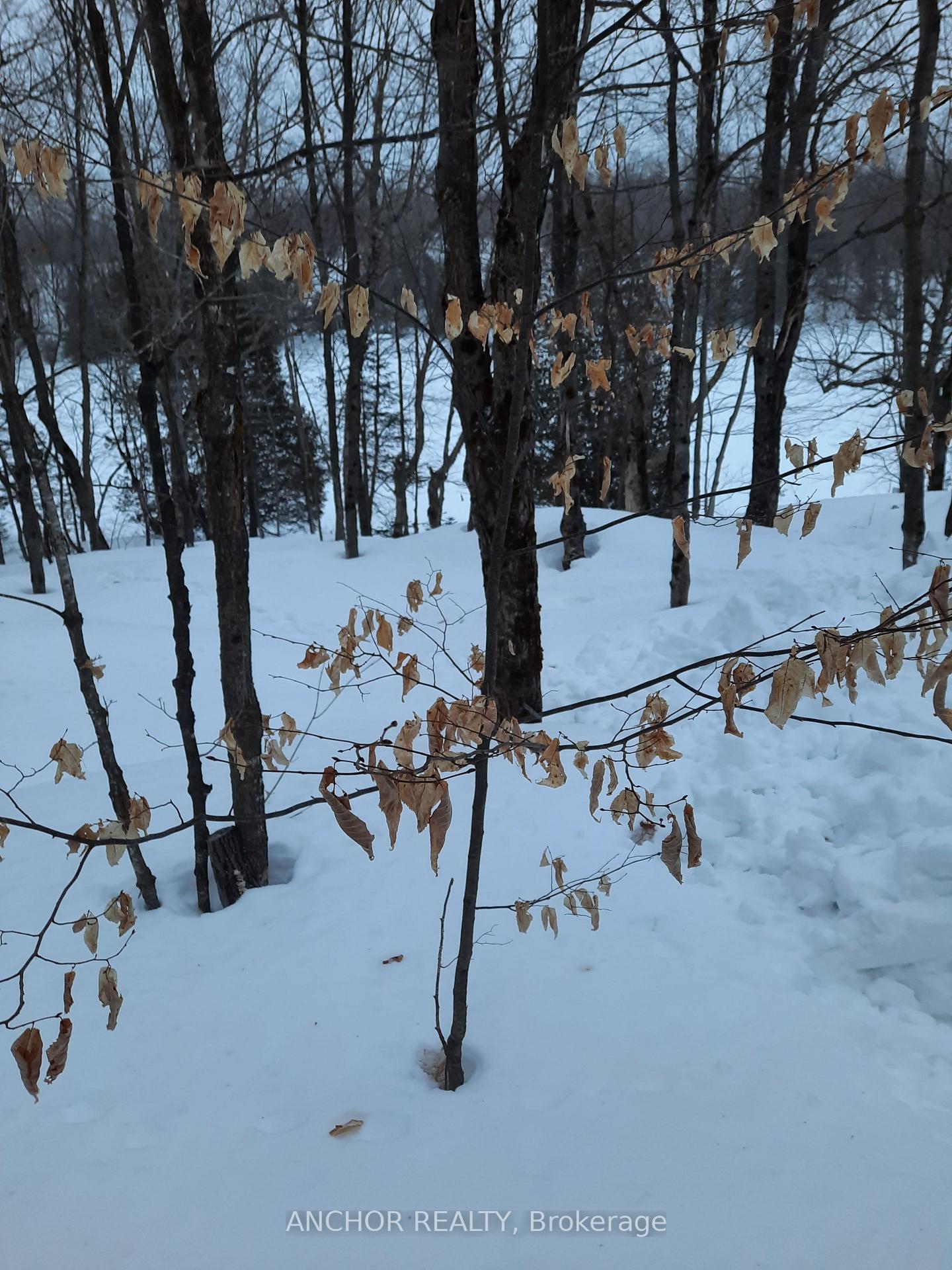 Photo 35 of 550 Shawanaga Lake, McDougall — HOMEH