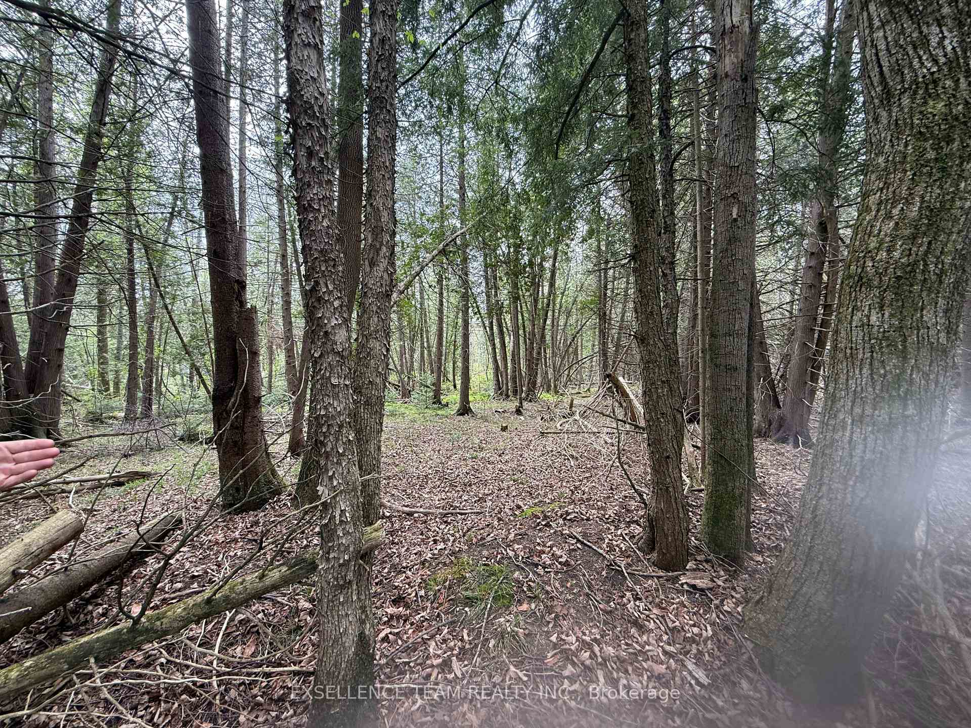 Photo 4 of 00 Kenyon Road, North Glengarry, North Glengarry (Kenyon) Twp — HOMEH