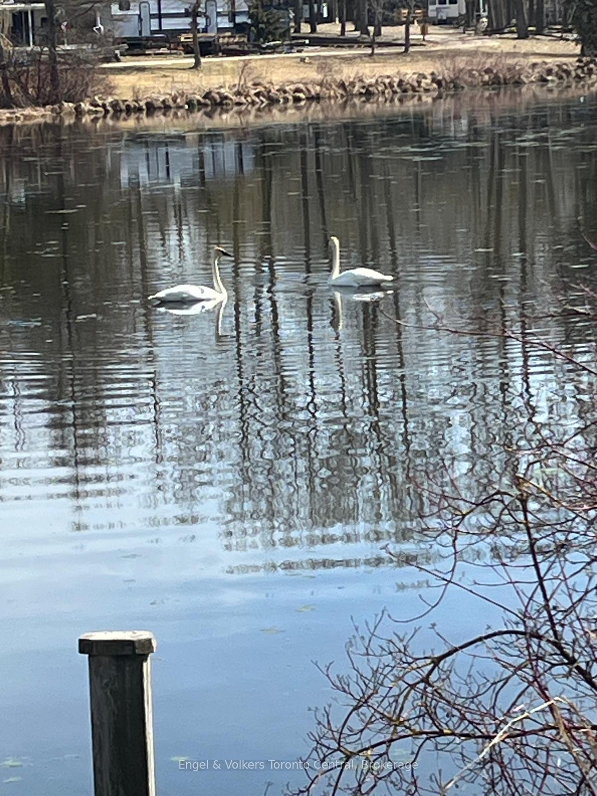 Photo 34 of Unit S 8, 7489 Sideroad 5 E, Wellington North, Rural Wellington North — HOMEH