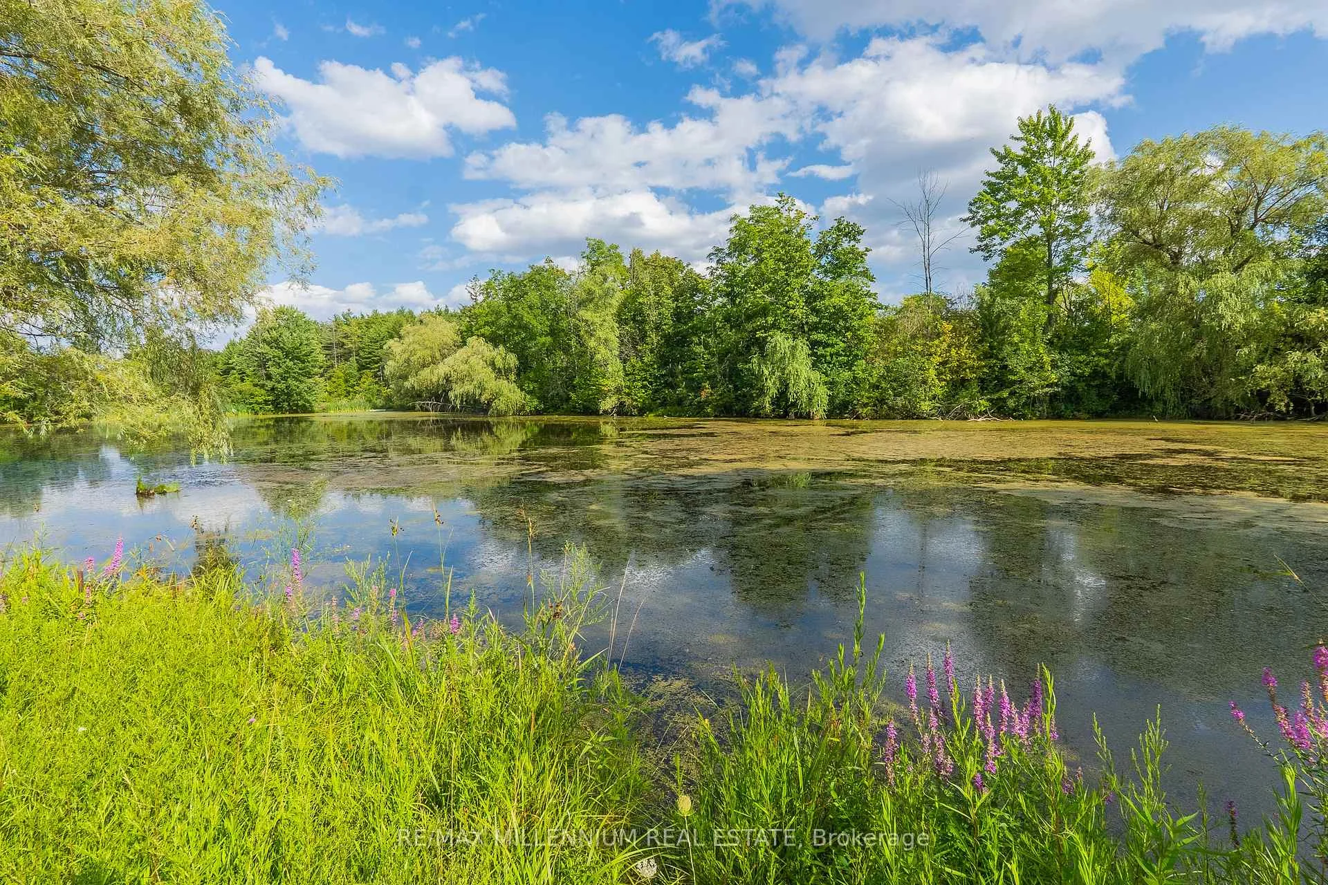 Photo 79 of 16282 27 Side Road, Halton Hills, Rural Halton Hills — HOMEH