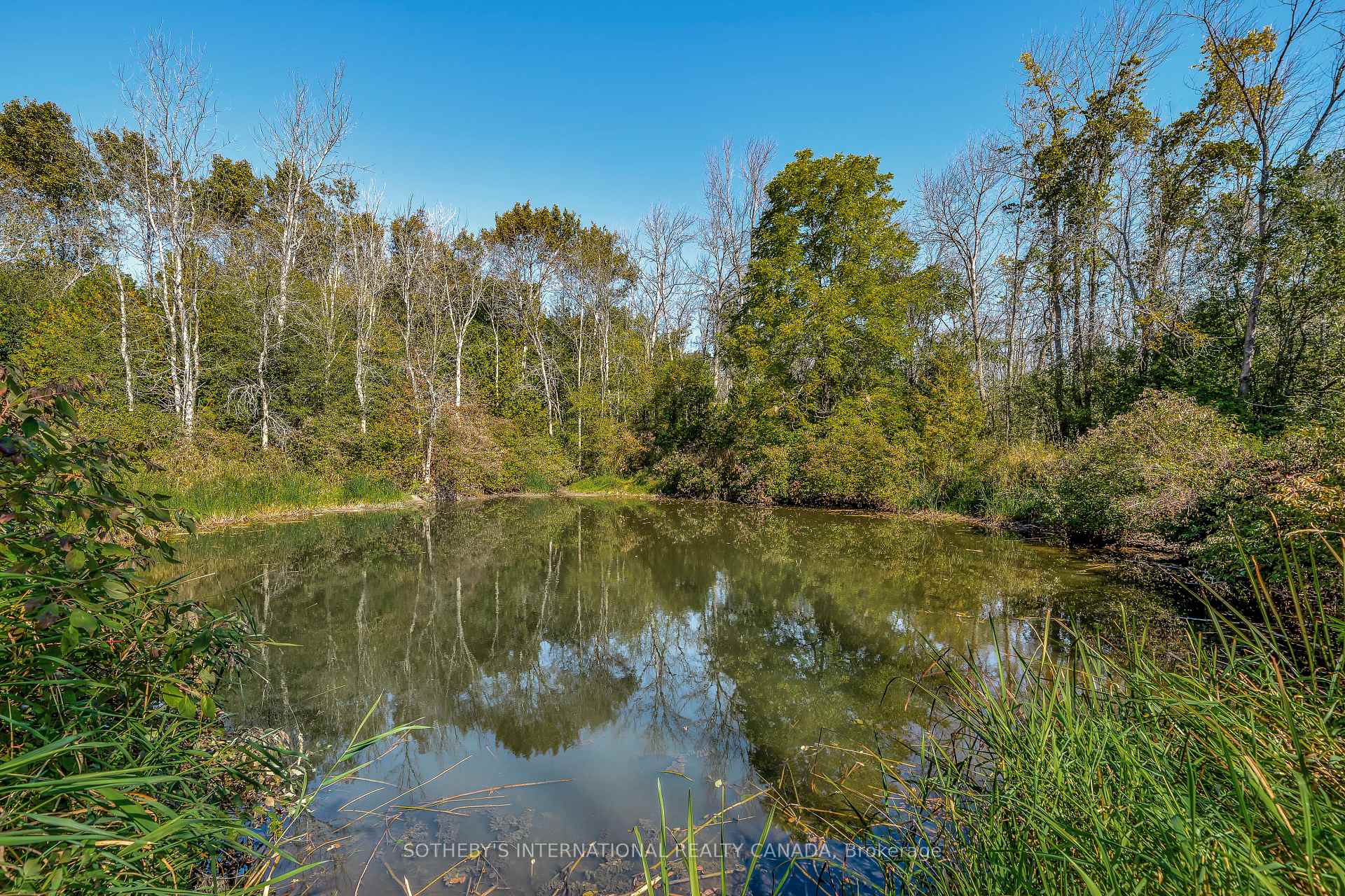 Photo 49 of 220 Easterbrook Road S, Prince Edward County, Athol Ward — HOMEH