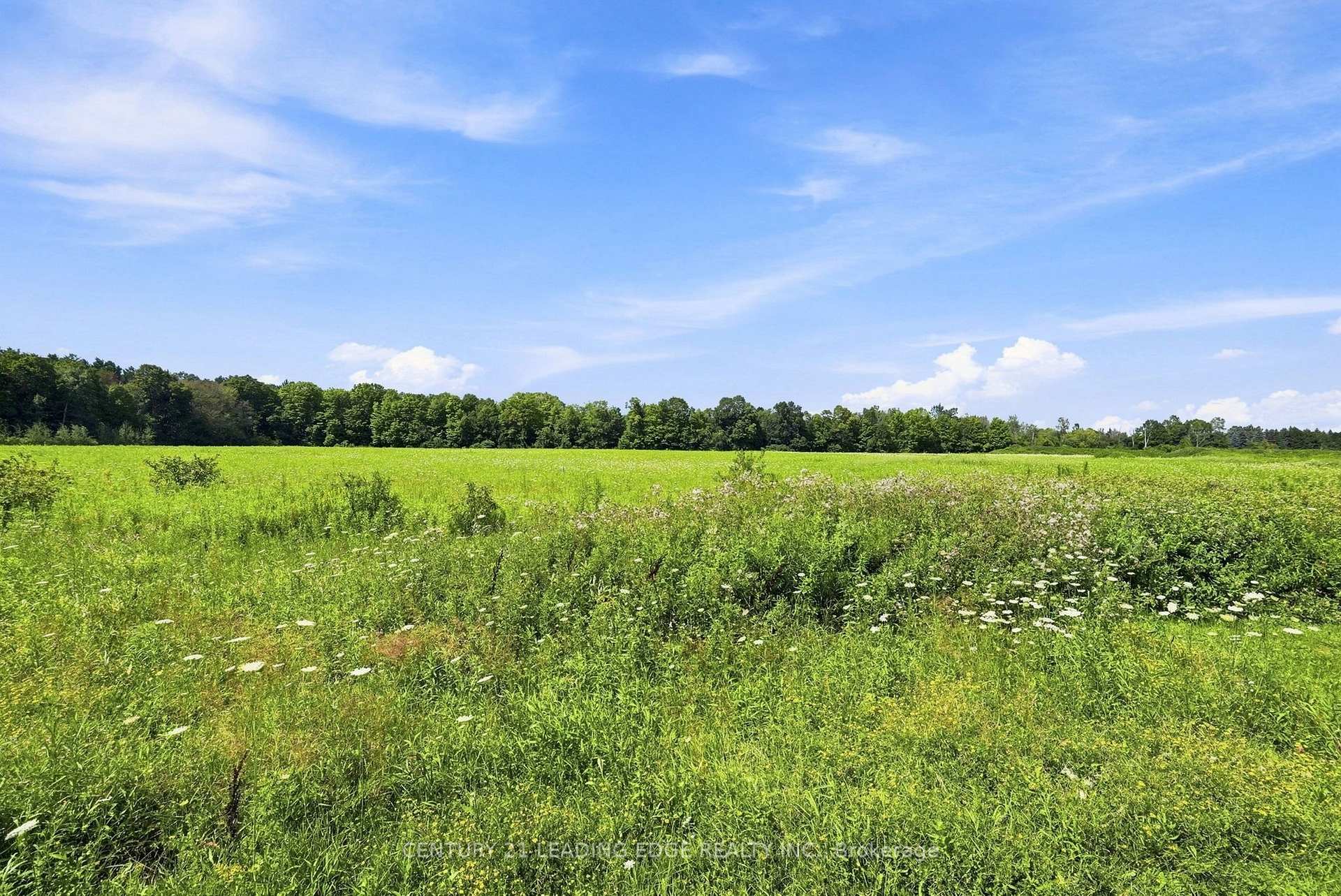 Photo 43 of 70 Ross Wright Avenue, Clarington, Bowmanville — HOMEH