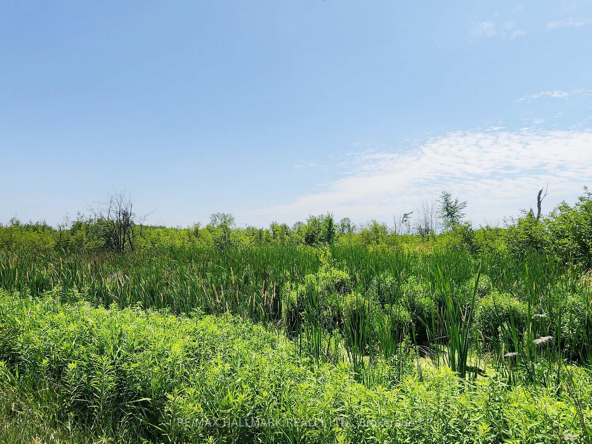 Photo of 20200 Highway 48