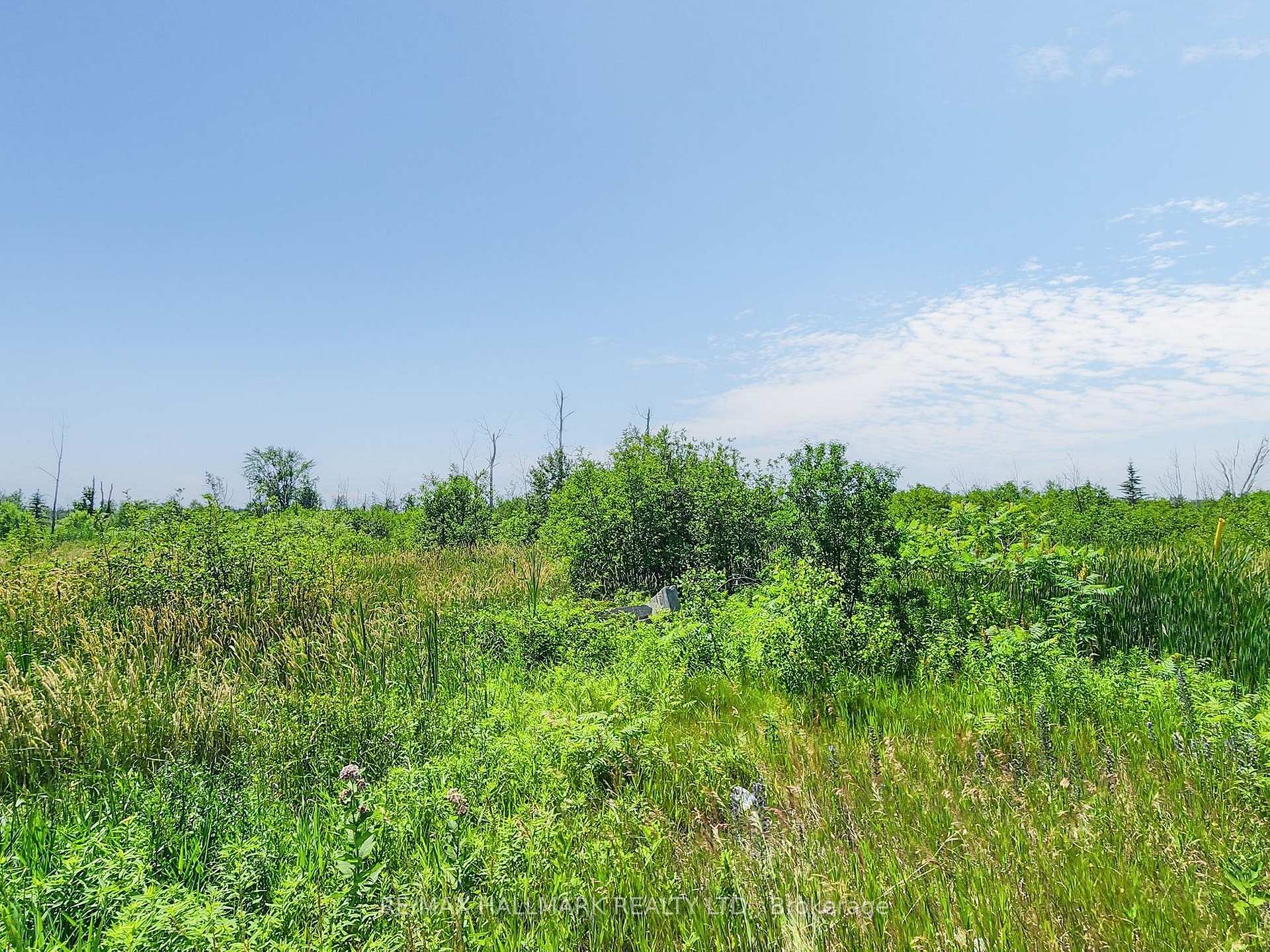 Photo 2 of 20200 Highway 48, East Gwillimbury, Rural East Gwillimbury — HOMEH