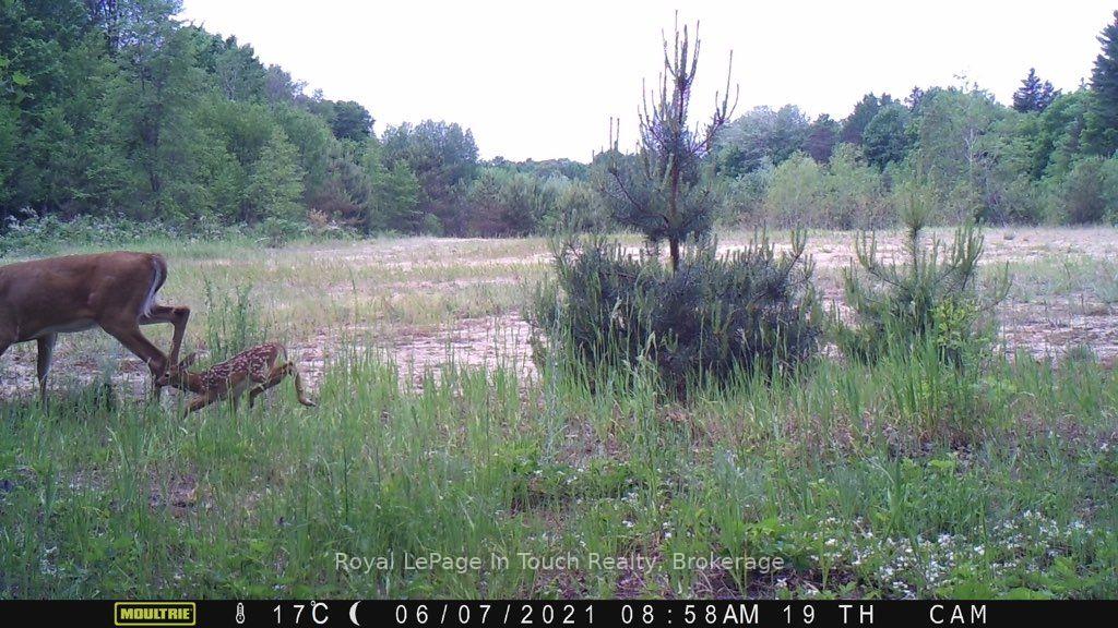 Photo 7 of 594 County Road 6 N, Tiny, Rural Tiny — HOMEH