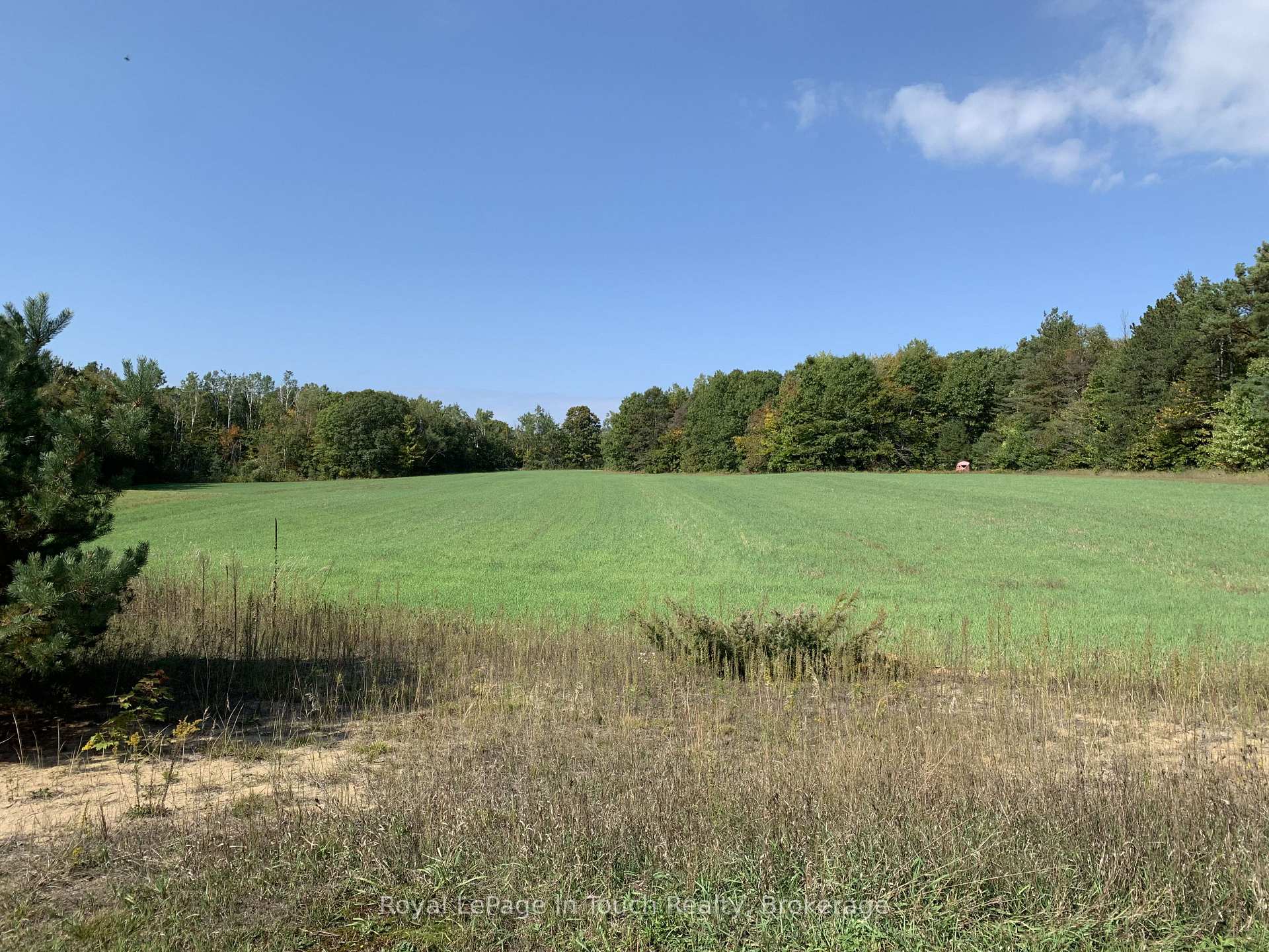 Photo 10 of 594 County Road 6 N, Tiny, Rural Tiny — HOMEH