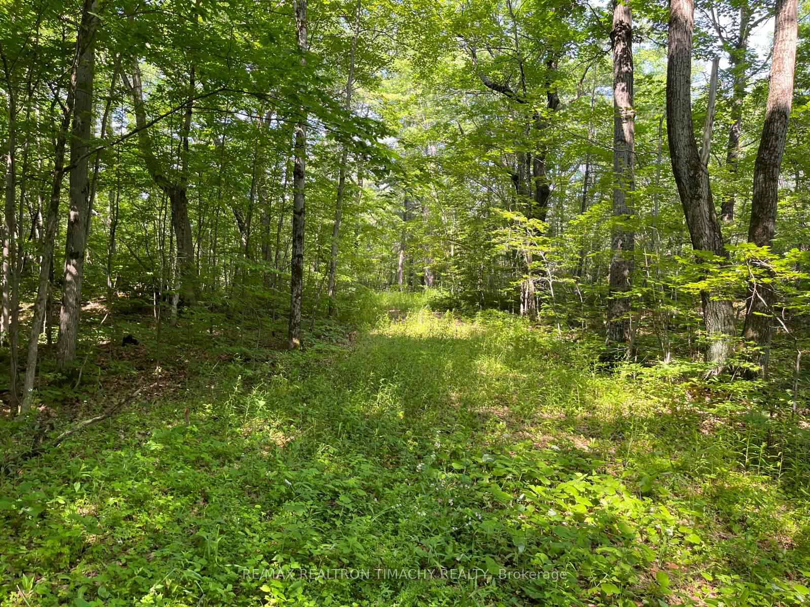 Photo 6 of 243 Prisque Road, Georgian Bay, Baxter — HOMEH