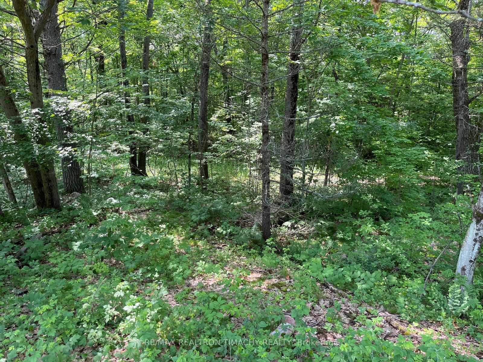 Photo 11 of 243 Prisque Road, Georgian Bay, Baxter — HOMEH