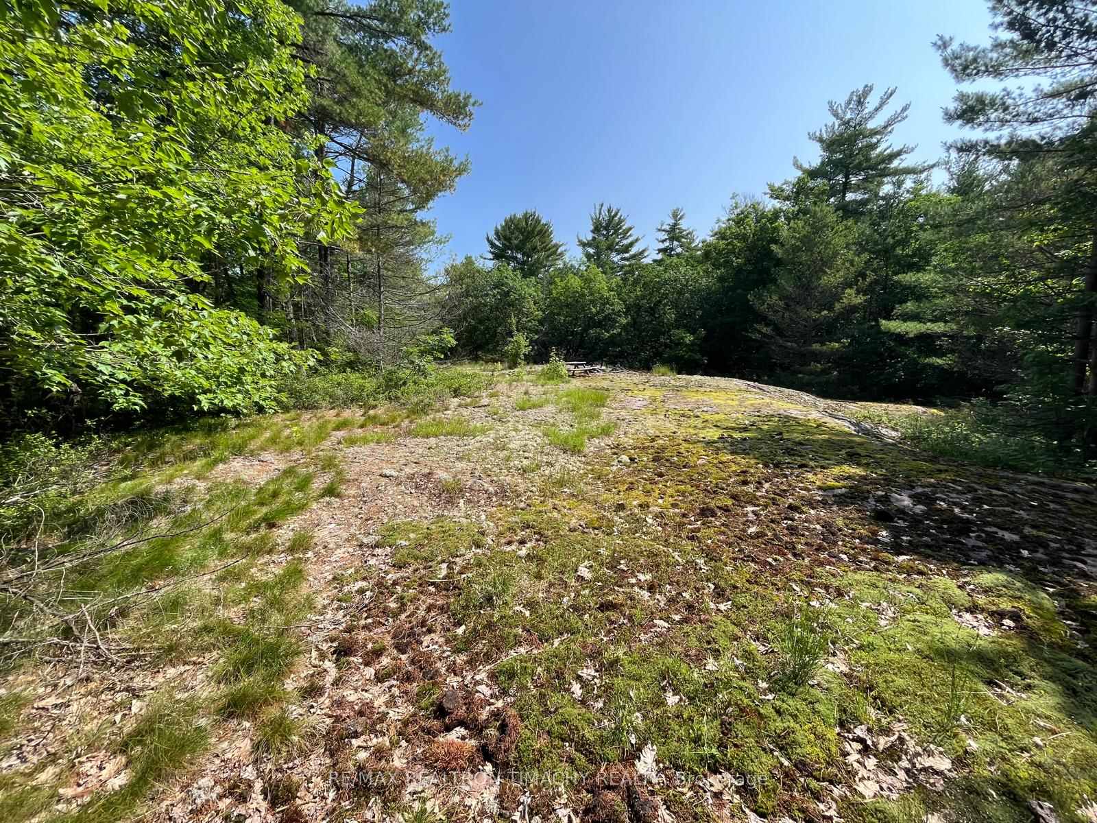Photo 13 of 243 Prisque Road, Georgian Bay, Baxter — HOMEH