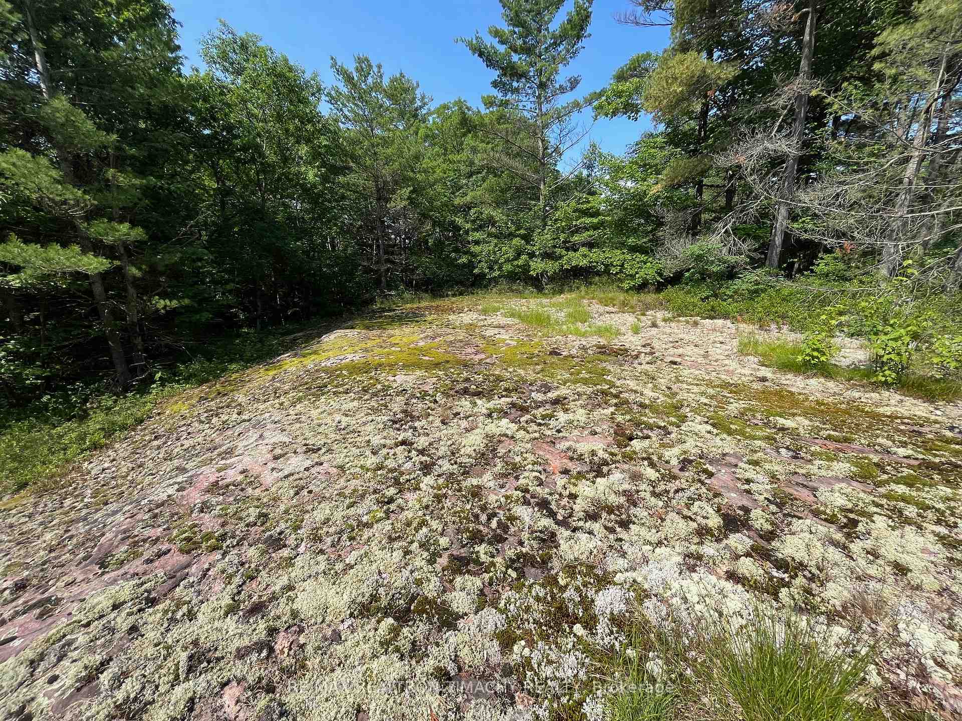 Photo 15 of 243 Prisque Road, Georgian Bay, Baxter — HOMEH