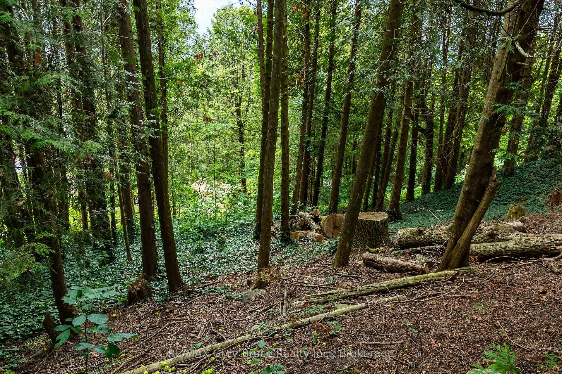 Photo 14 of 34 Hilltop Drive, South Bruce Peninsula — HOMEH