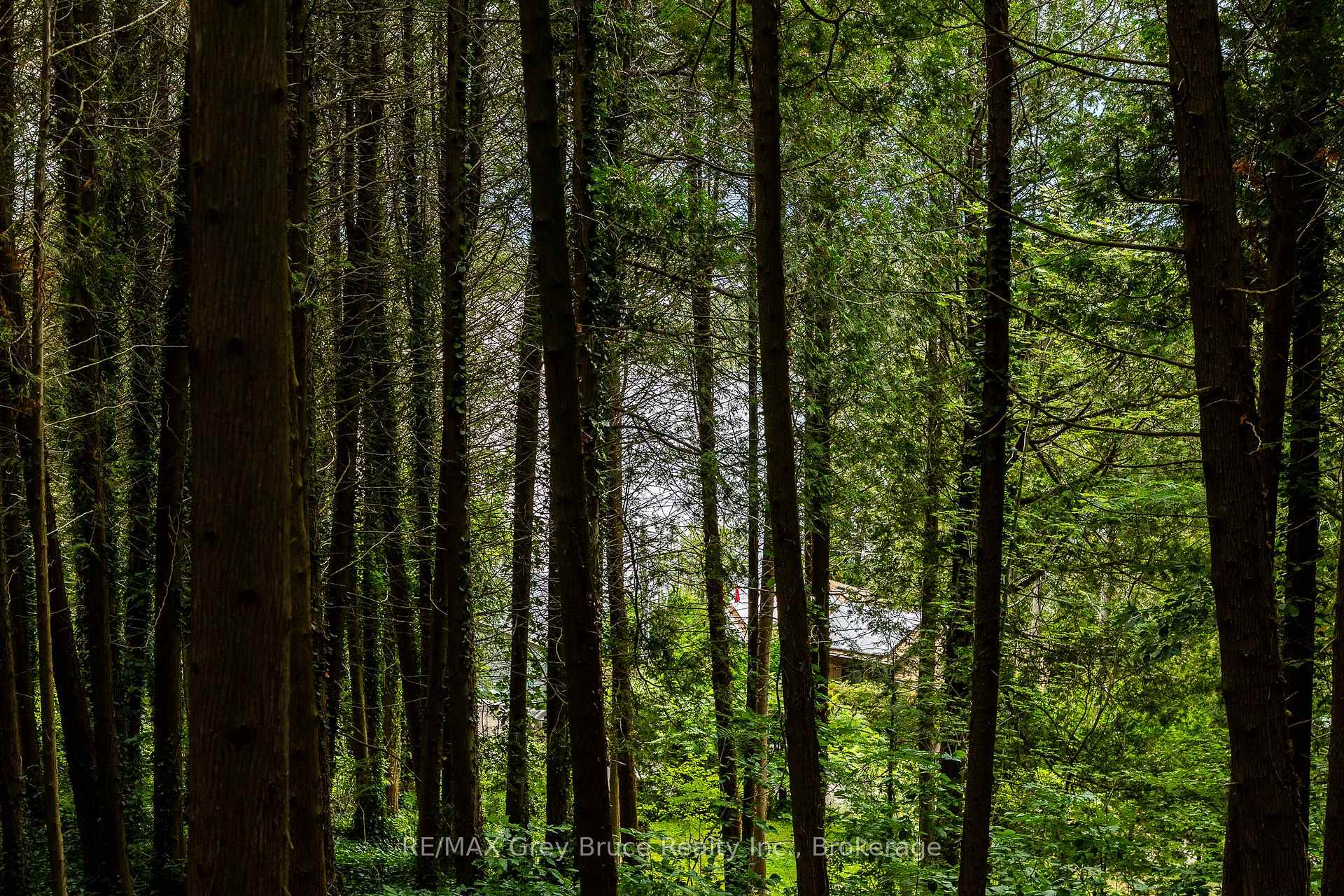 Photo 16 of 34 Hilltop Drive, South Bruce Peninsula — HOMEH