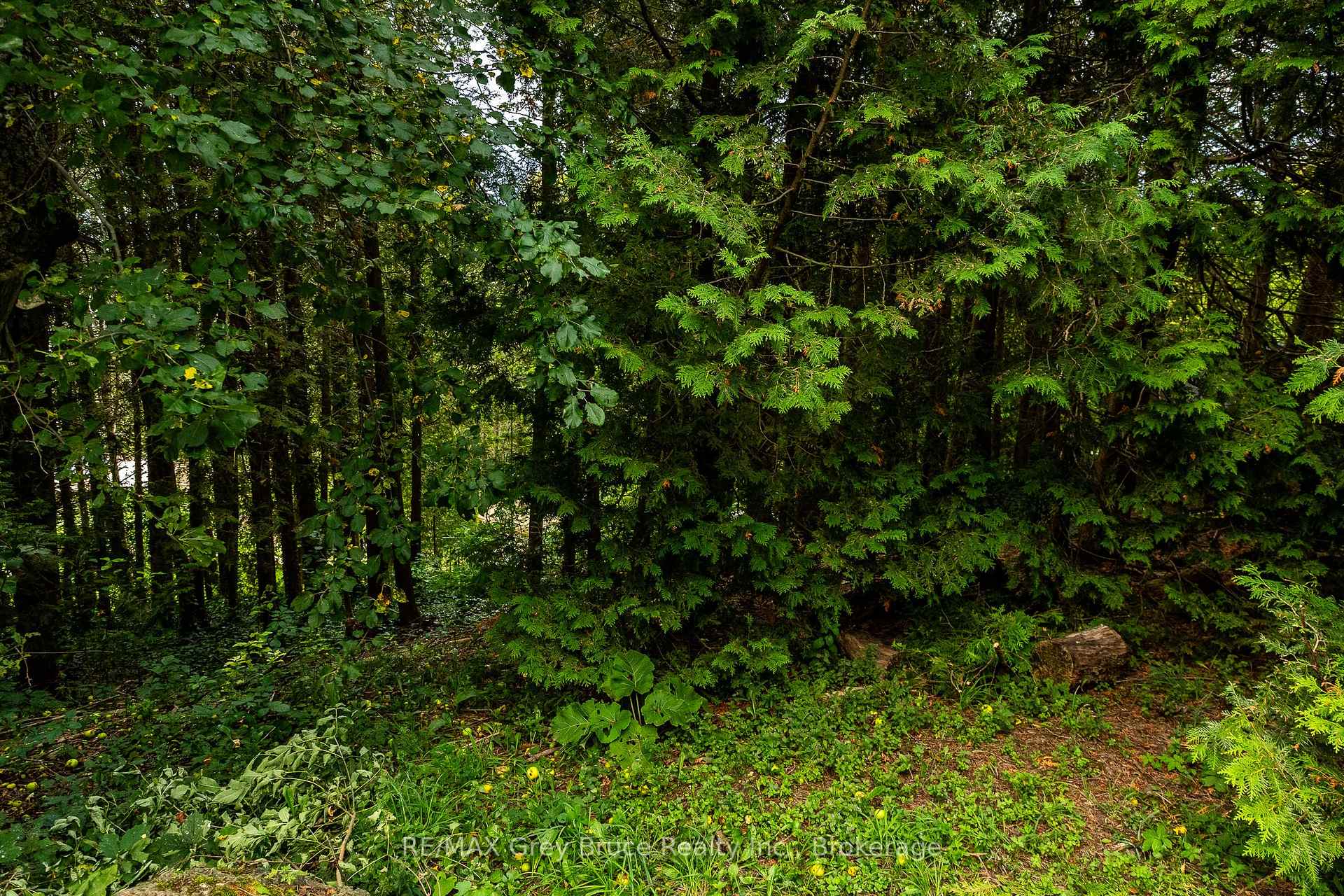 Photo 19 of 34 Hilltop Drive, South Bruce Peninsula — HOMEH