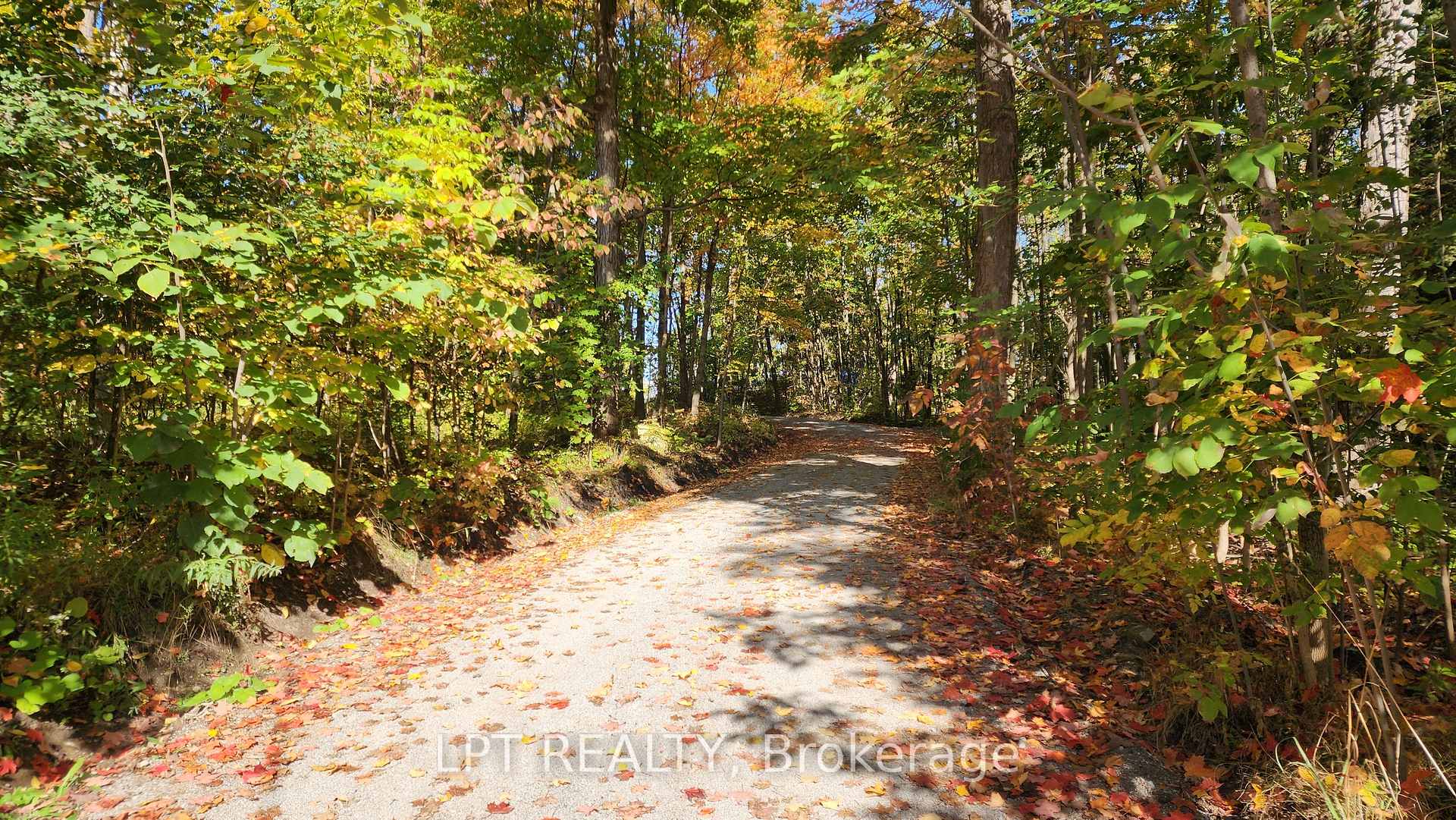Photo 23 of 1764 Bay Park Road, Severn, Rural Severn — HOMEH