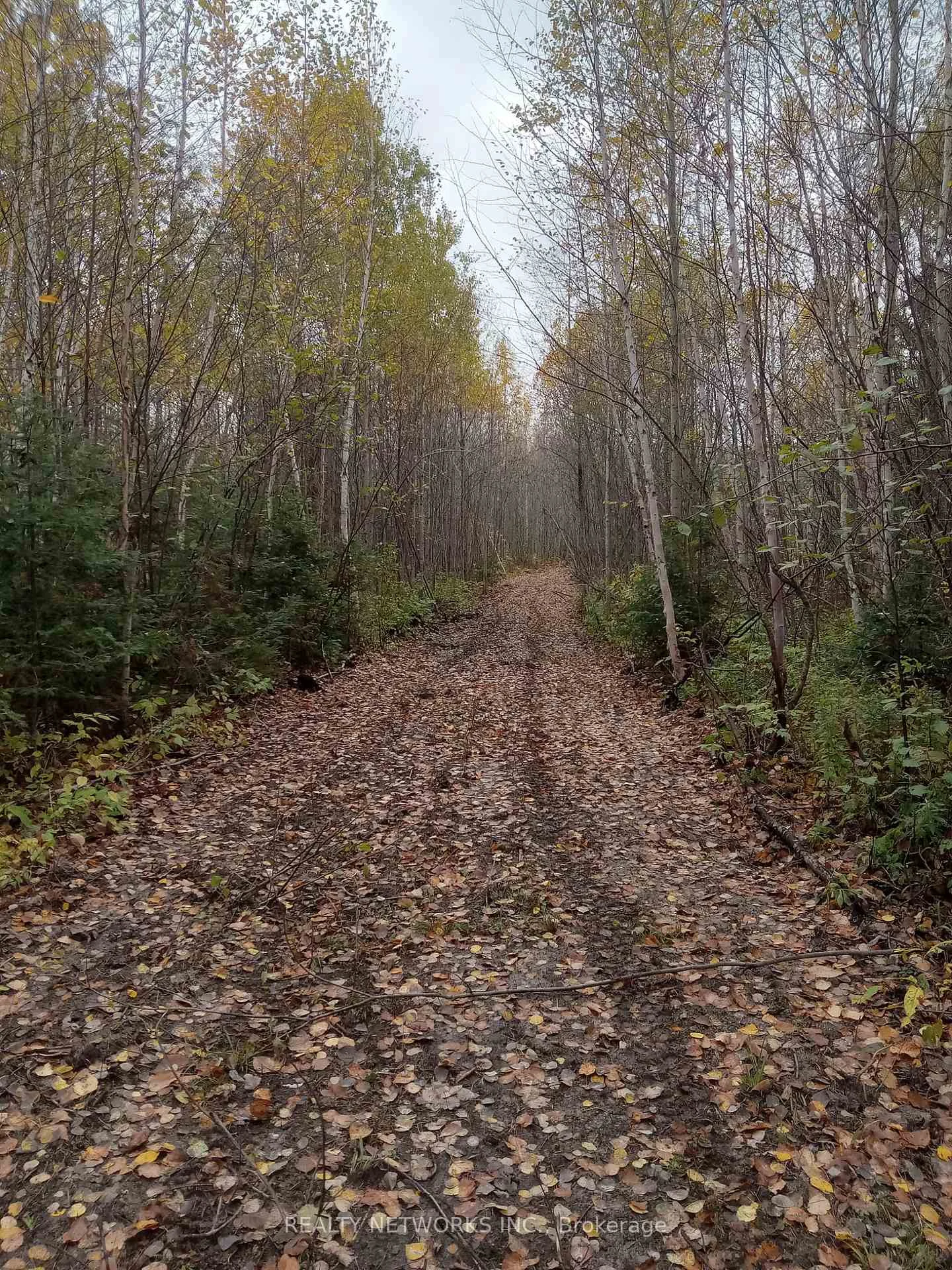 Photo 34 of Lot 23 Concession 11 Road, Cochrane, Cochrane Unorganized — HOMEH