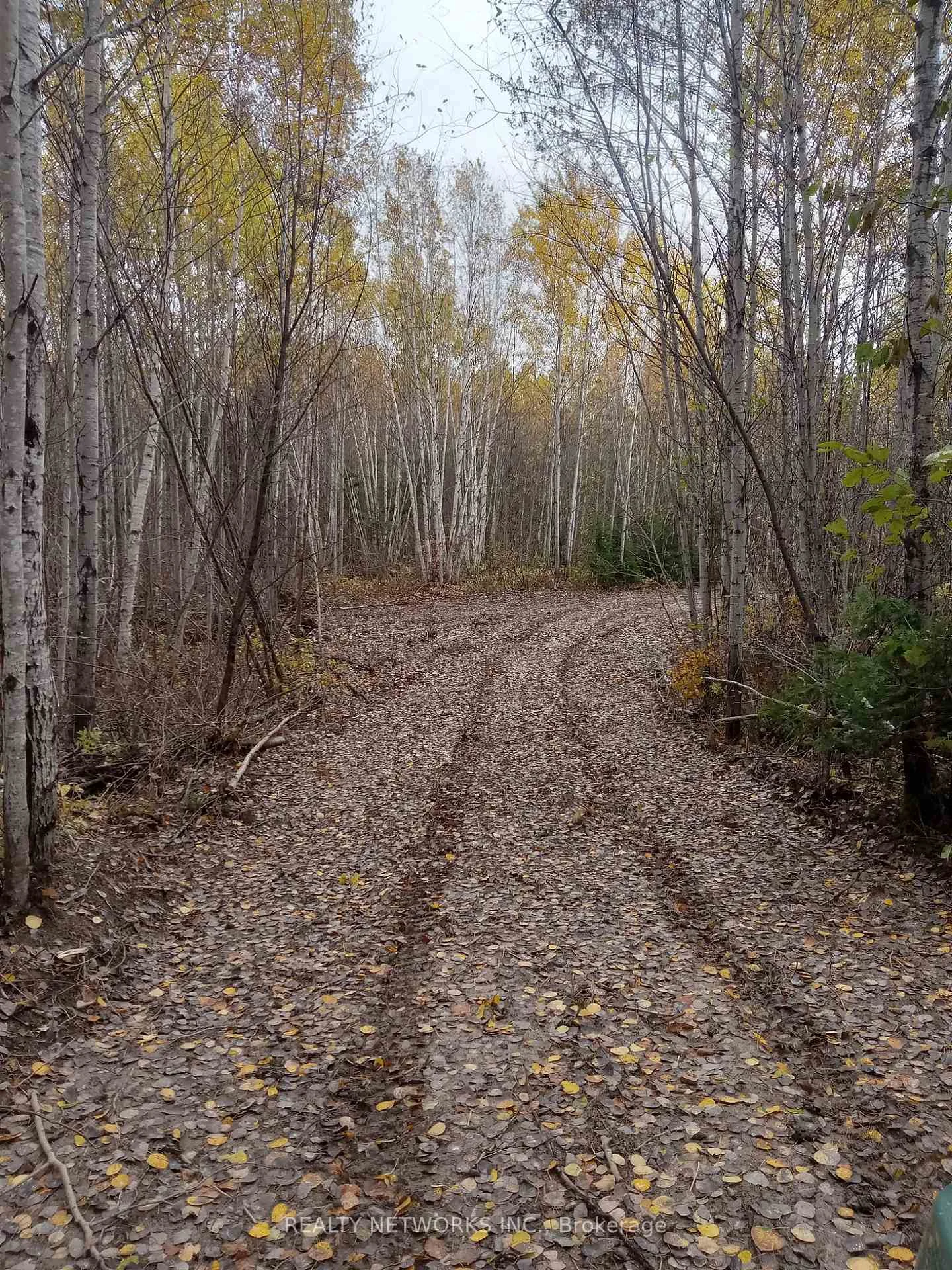 Photo 35 of Lot 23 Concession 11 Road, Cochrane, Cochrane Unorganized — HOMEH