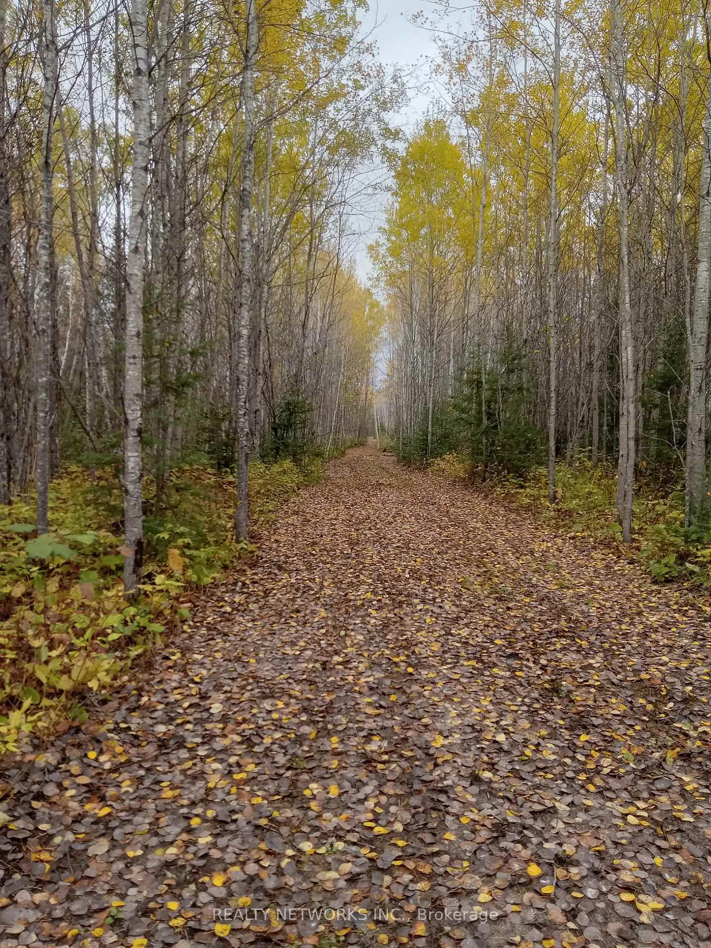 Photo 36 of Lot 23 Concession 11 Road, Cochrane, Cochrane Unorganized — HOMEH