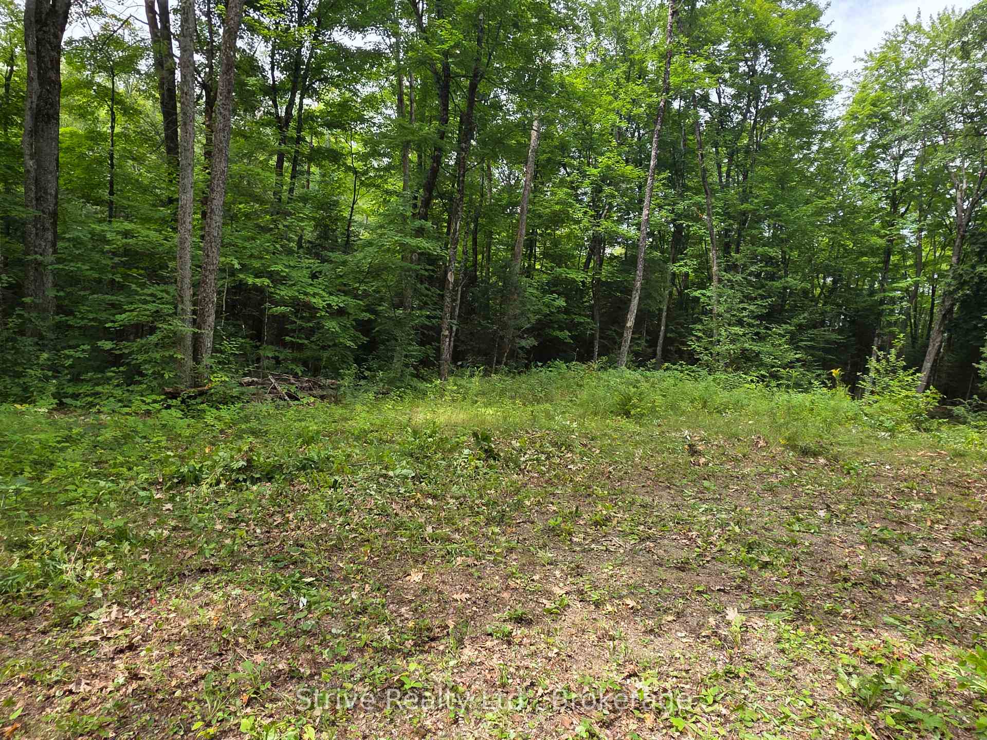 Photo 14 of 1303 Whites Road, Frontenac, Frontenac North — HOMEH