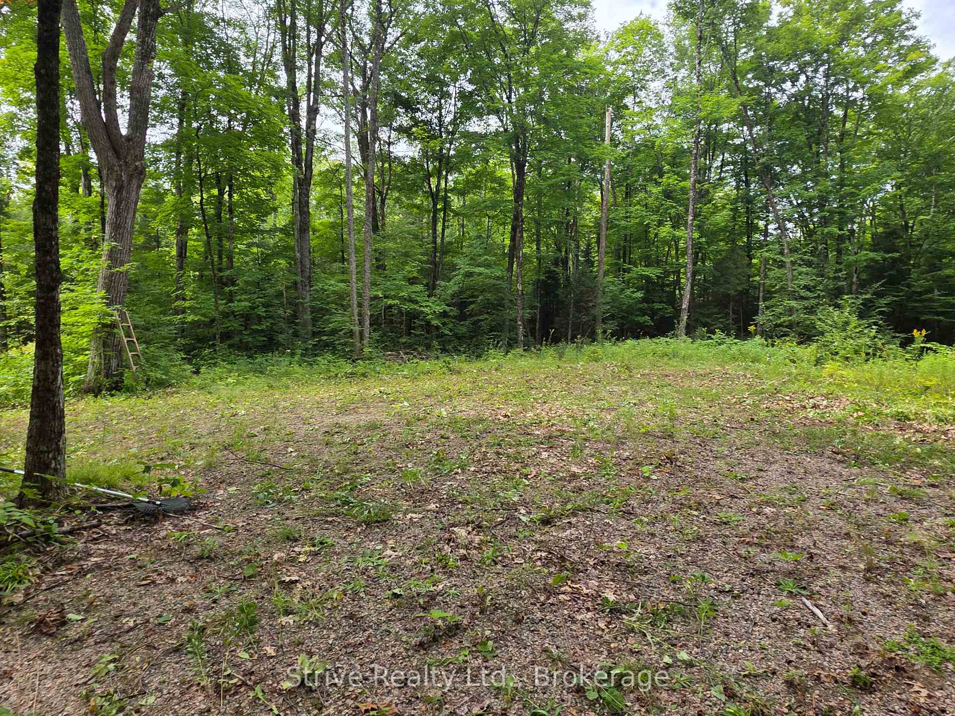 Photo 16 of 1303 Whites Road, Frontenac, Frontenac North — HOMEH