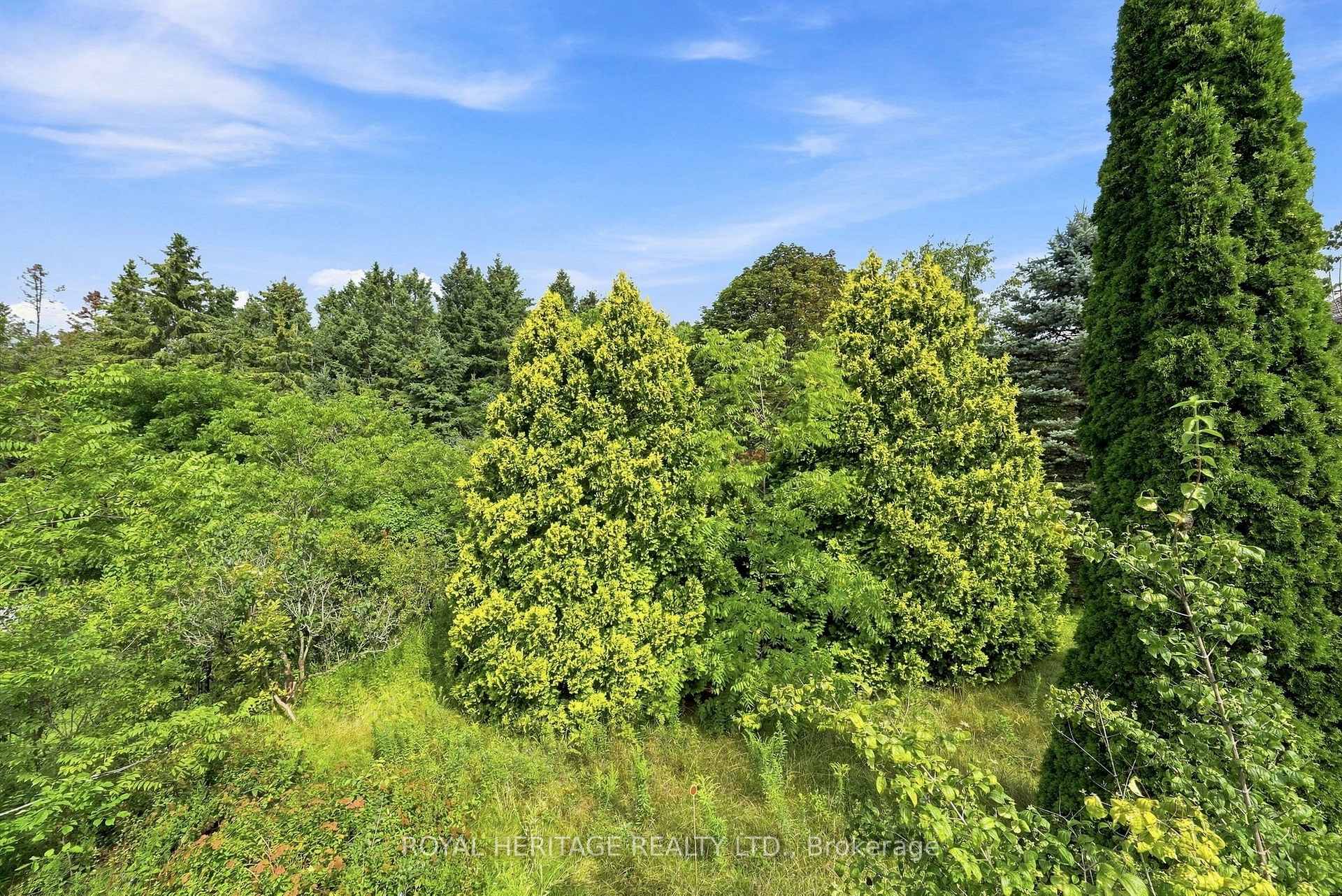 Photo 39 of 19A Park Street E, Cramahe, Colborne — HOMEH