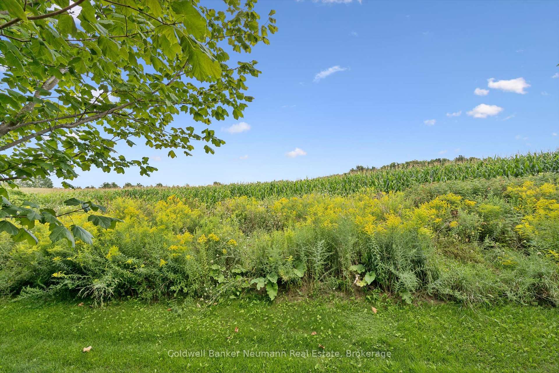 Photo 28 of Unit 3, 91 Poppy Drive E, Guelph, Pineridge/Westminster Woods — HOMEH